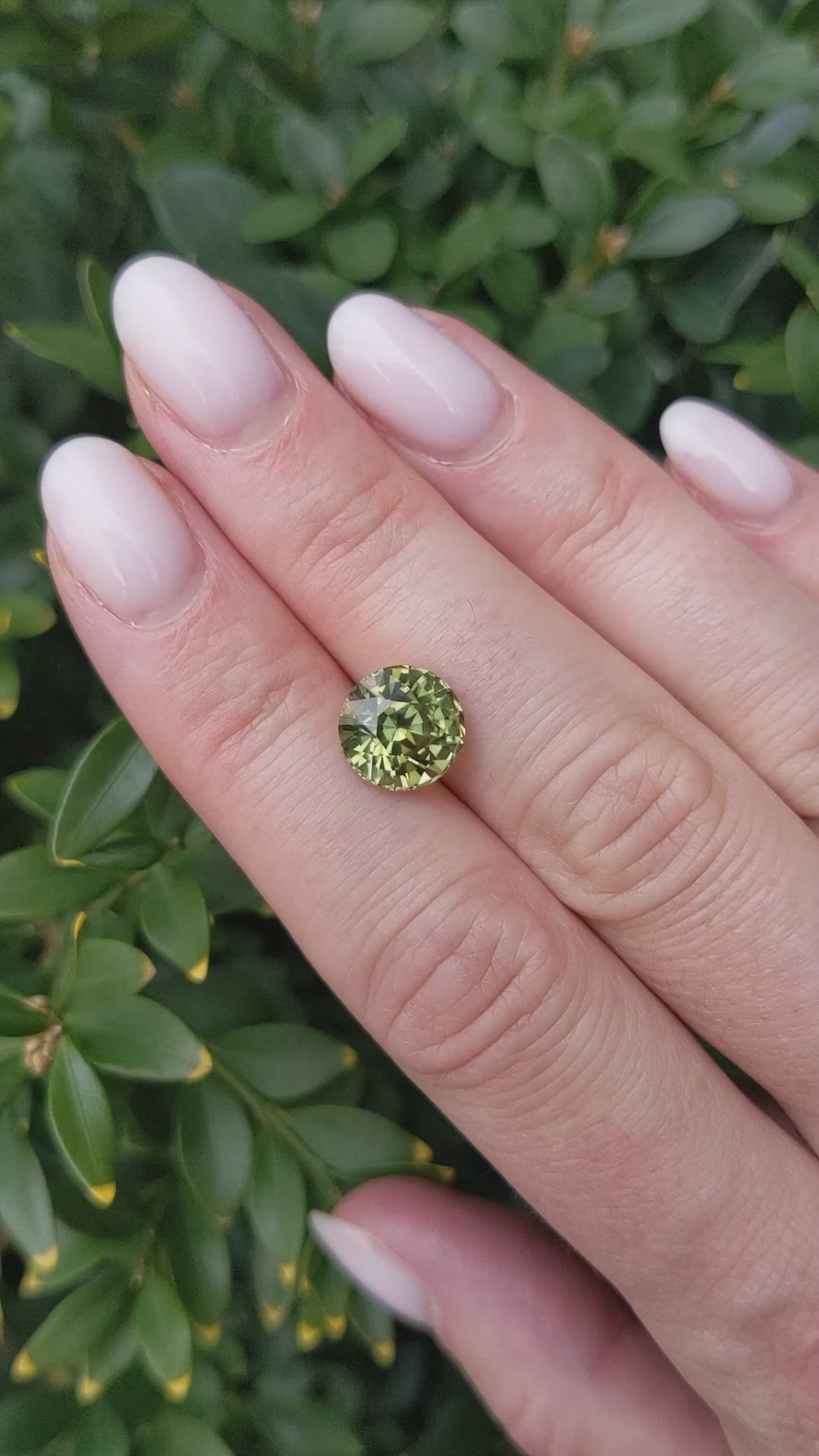 4.58 Ct. Yellowish Green Sapphire from Ceylon (Sri Lanka) Size Video