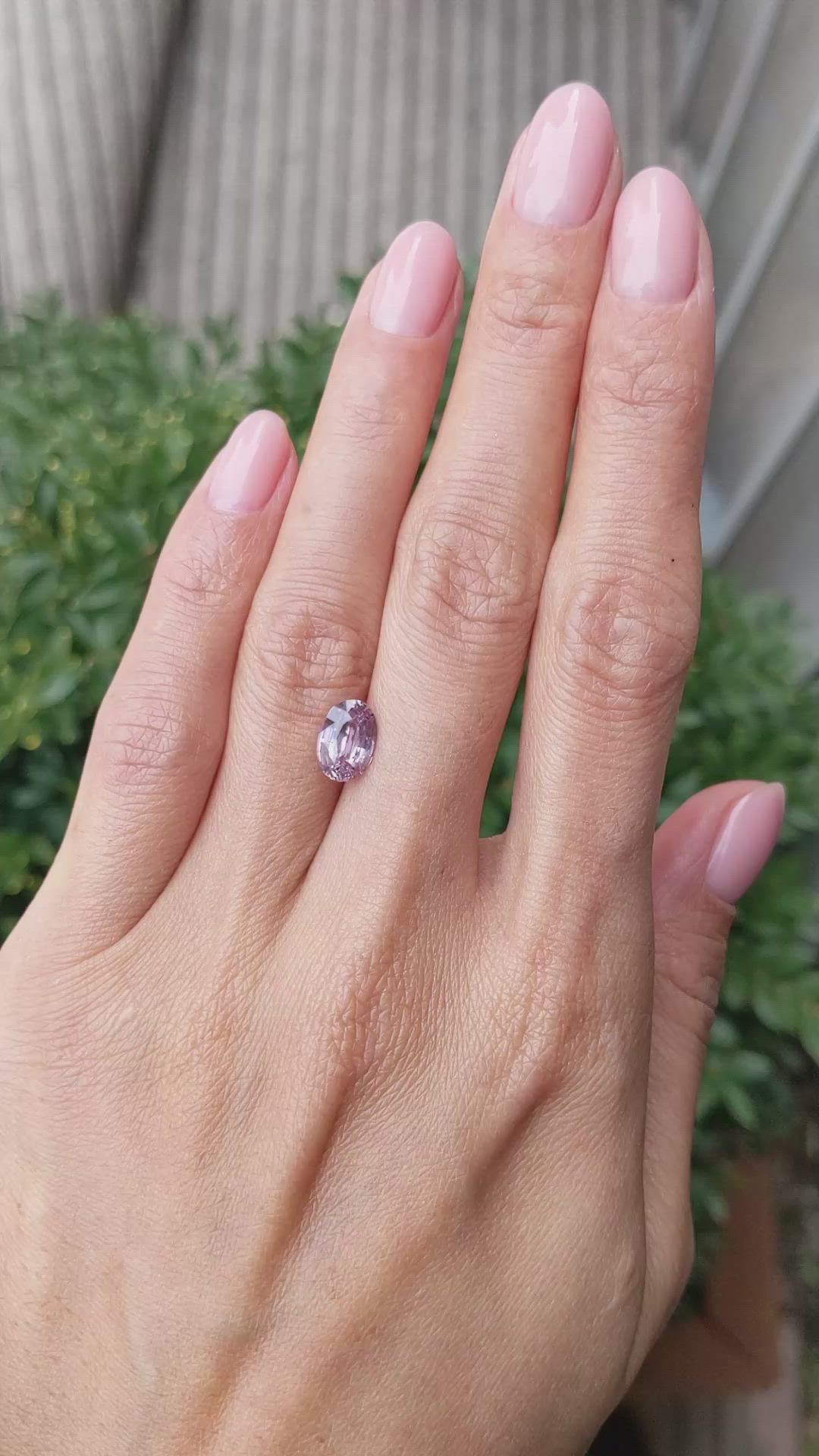 2.05 Ct. Pink Sapphire from Ceylon (Sri Lanka) Size Video