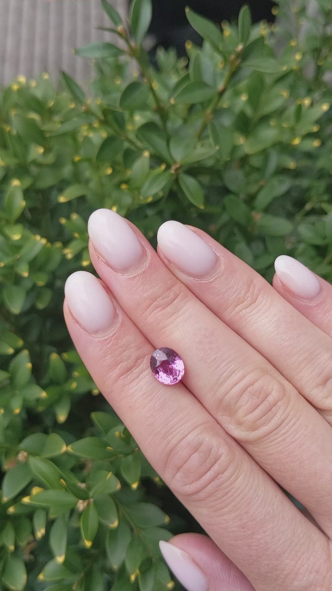 2.03 Ct. Pink Sapphire from Ceylon (Sri Lanka) Size Video