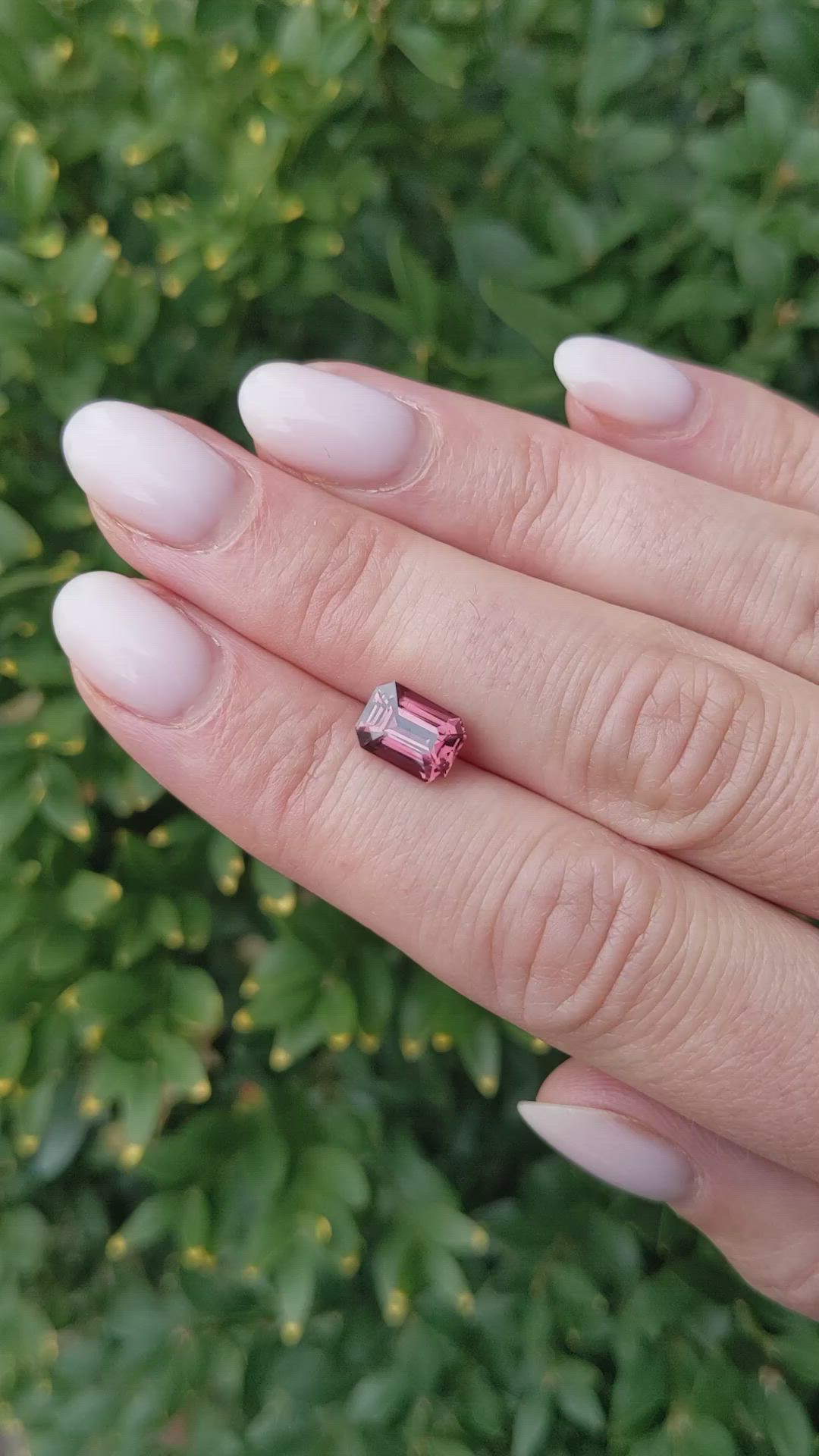 2.08 Ct. Reddish Pink Sapphire from Ceylon (Sri Lanka) Size Video