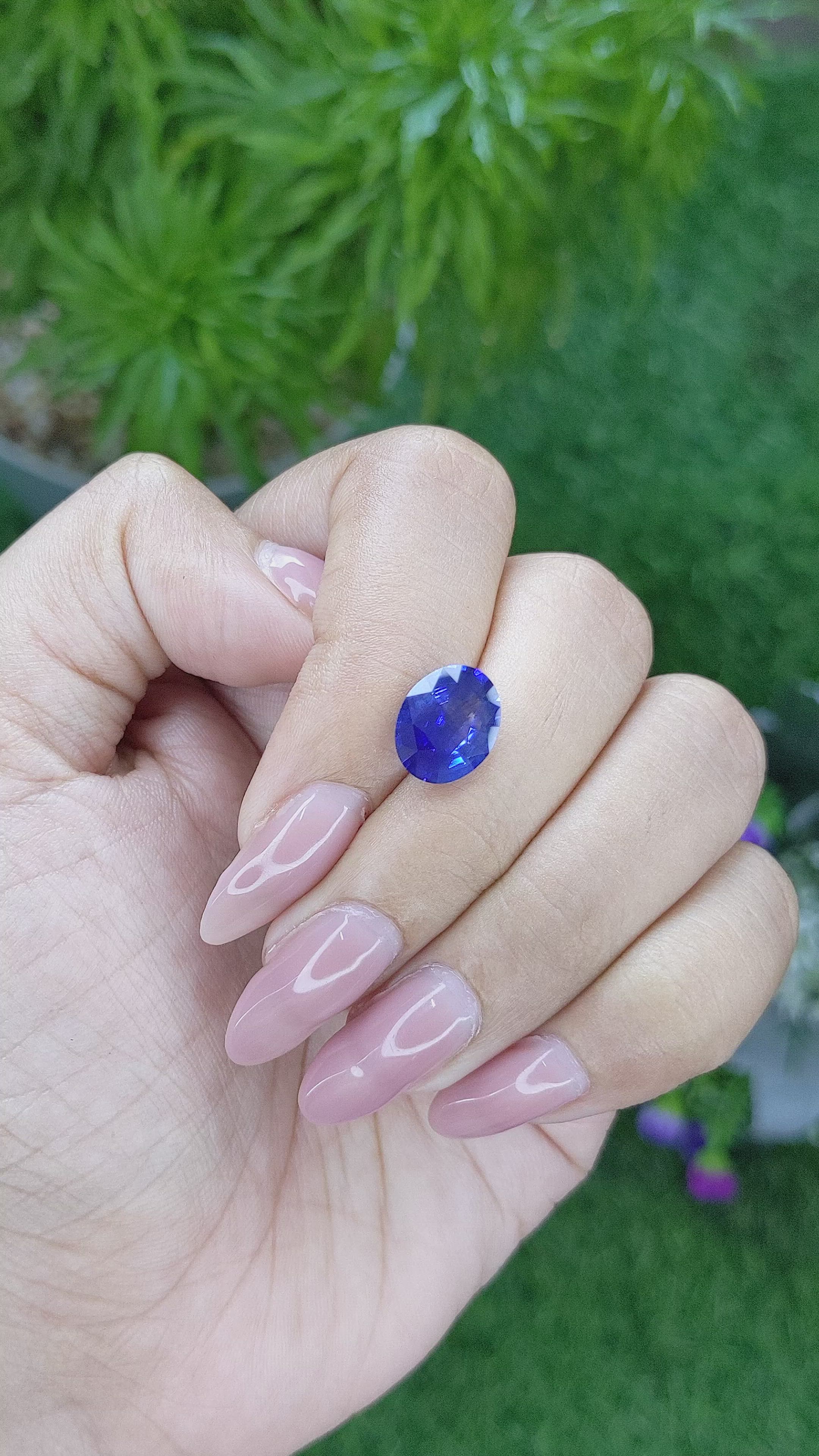 3.31 Ct. Blue Sapphire from Ceylon (Sri Lanka) Size Video