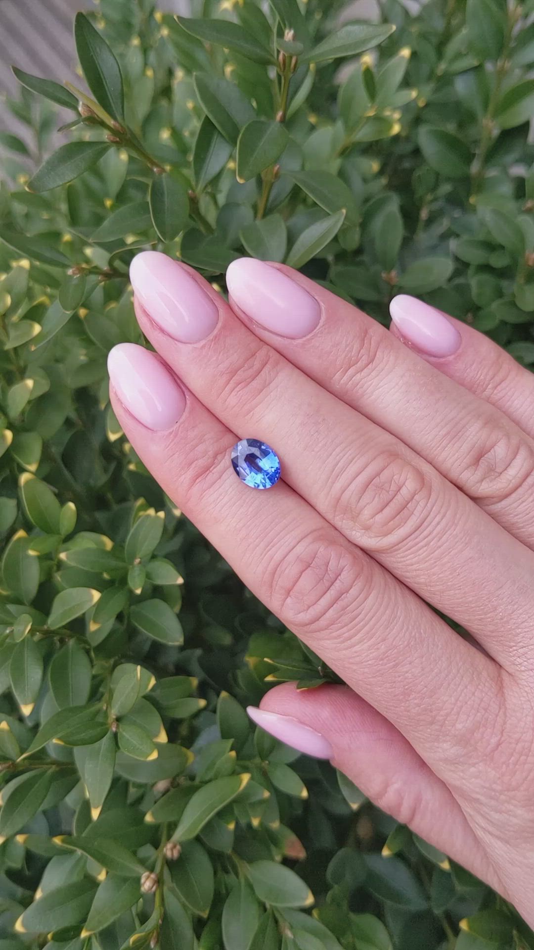 1.91 Ct. Blue Sapphire from Ceylon (Sri Lanka) Size Video