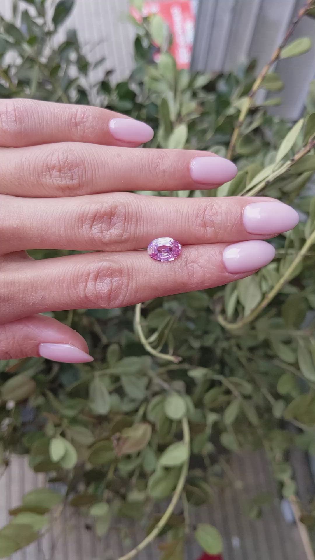 2.16 Ct. Pink Sapphire from Ceylon (Sri Lanka) Size Video