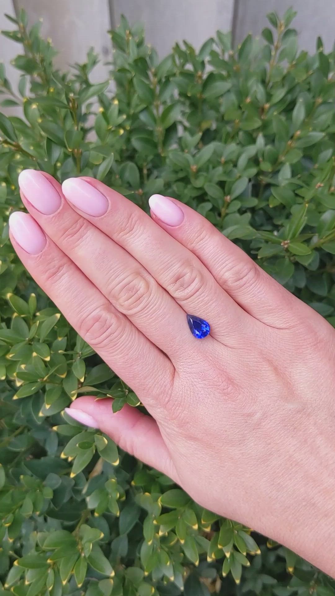 1.92 Ct. Blue Sapphire from Ceylon (Sri Lanka) Size Video