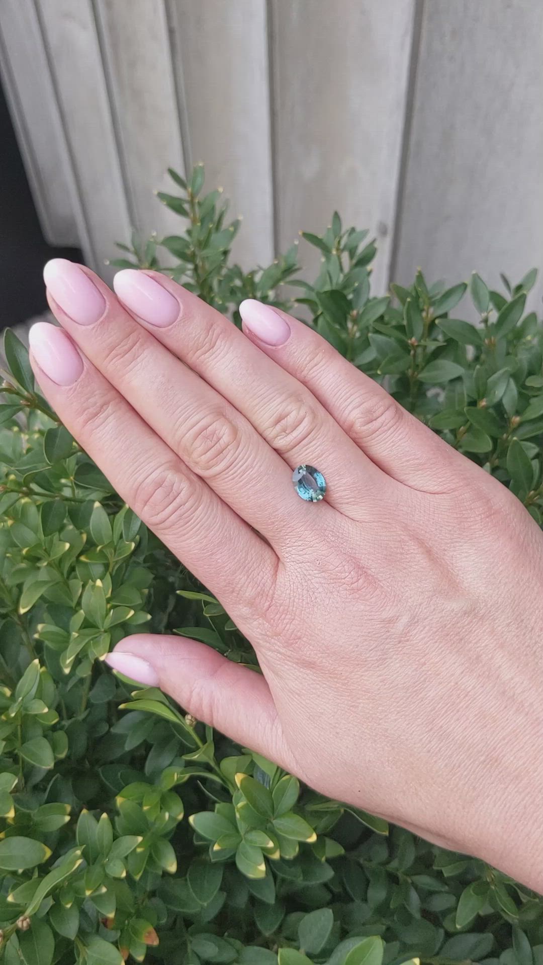 1.83 Ct. Bluish Green Sapphire from Ceylon (Sri Lanka) Size Video