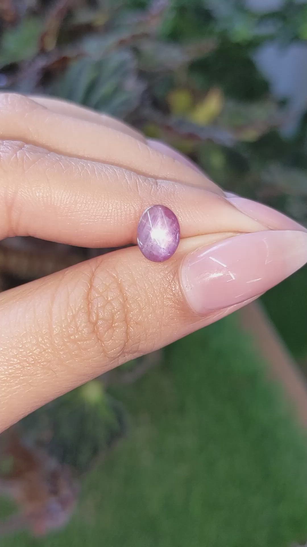 1.51 Ct. Pinkish Purple Star Sapphire from Ceylon (Sri Lanka) Size Video