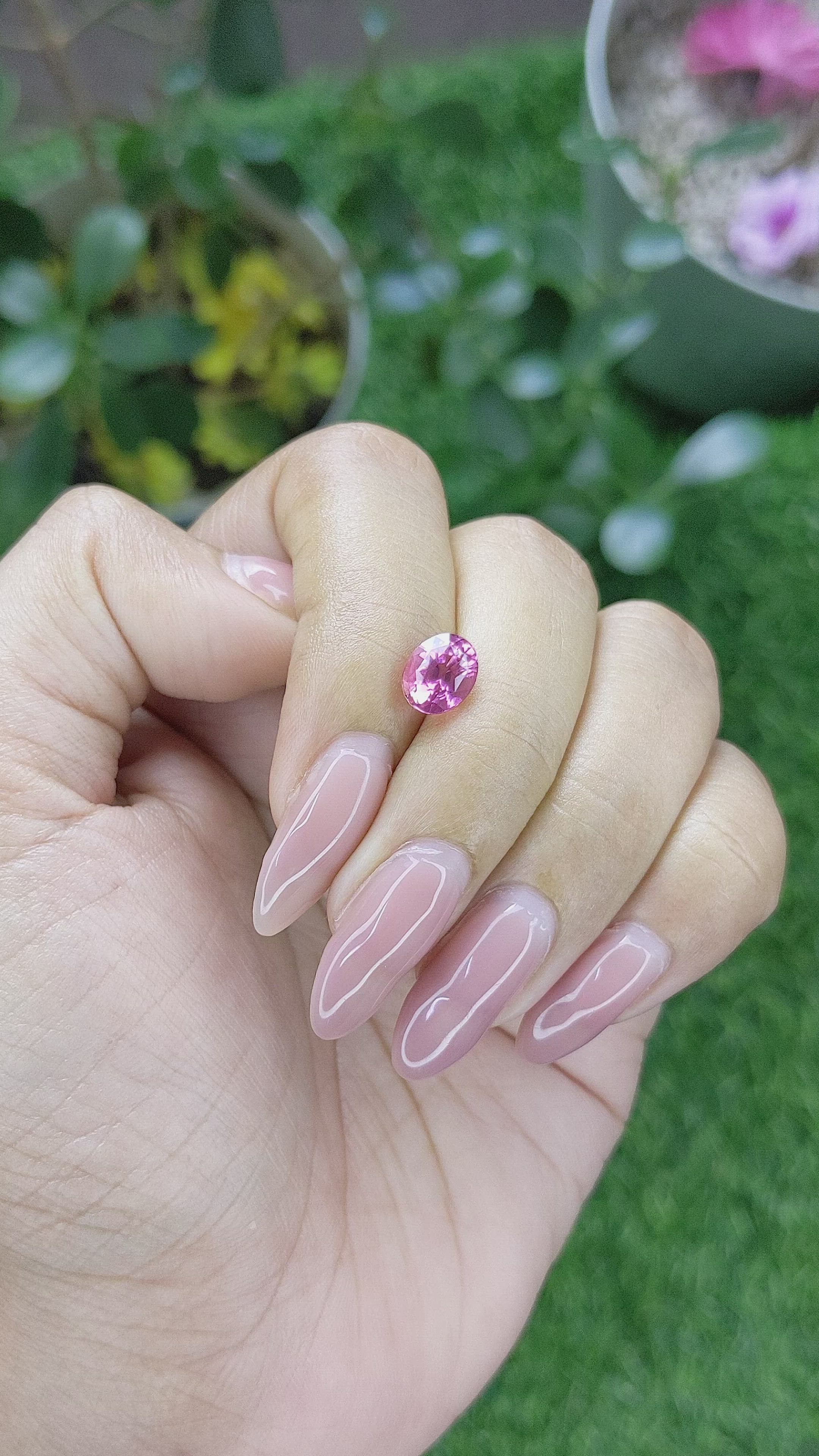 2.00 Ct. Pink Sapphire from Tanzania Size Video