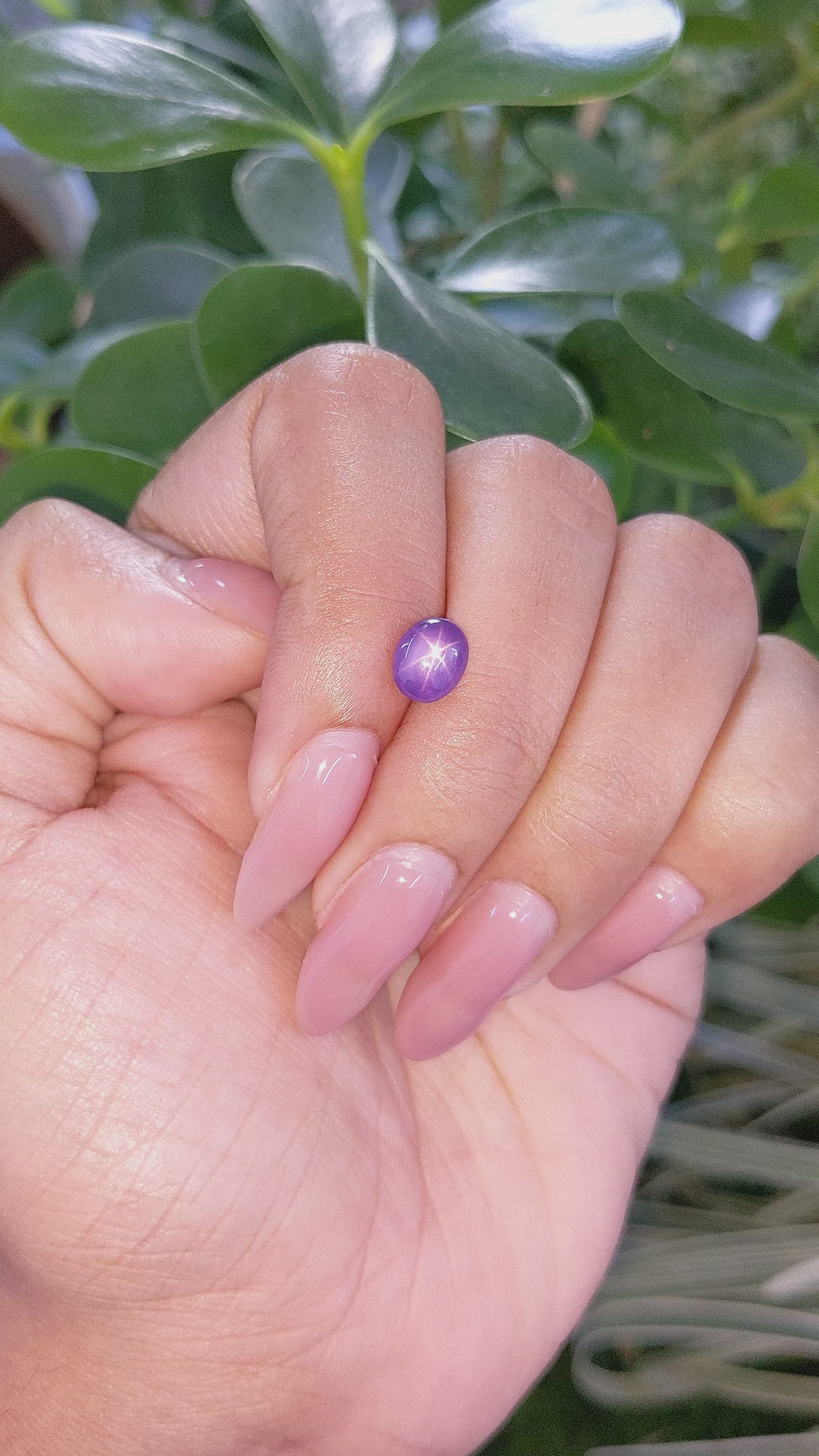 1.81 Ct. Purple Star Sapphire from Madagascar Size Video