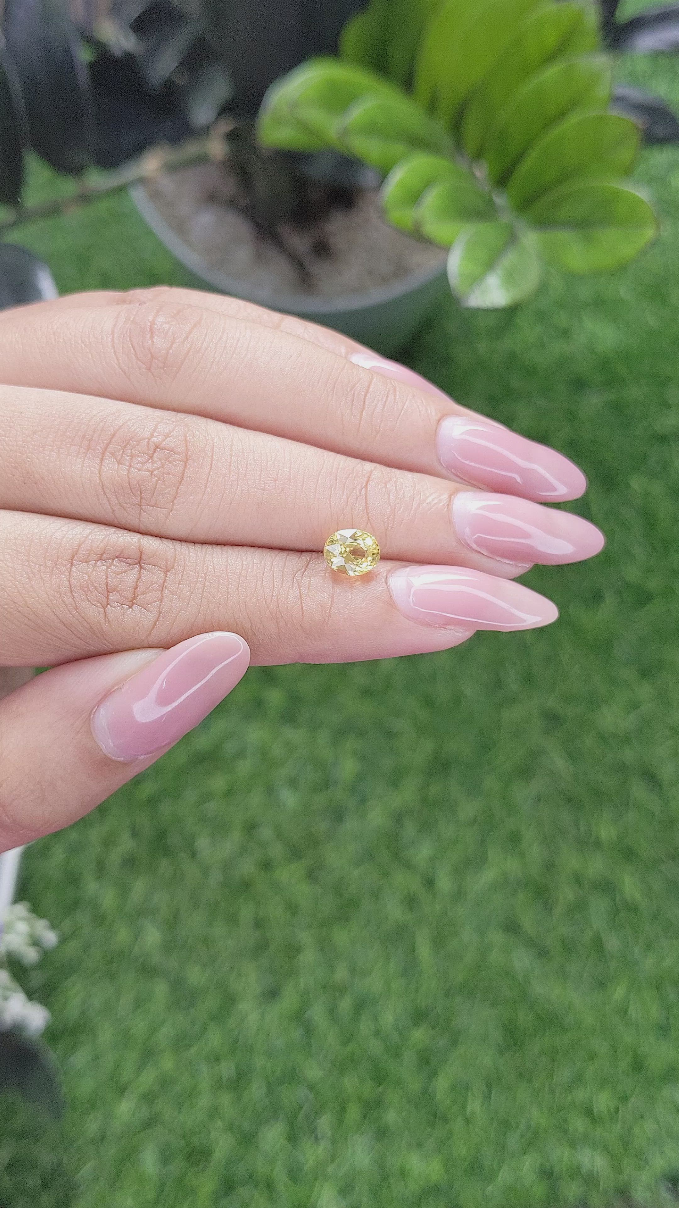 1.54 Ct. Yellow Sapphire from Ceylon (Sri Lanka) Size Video