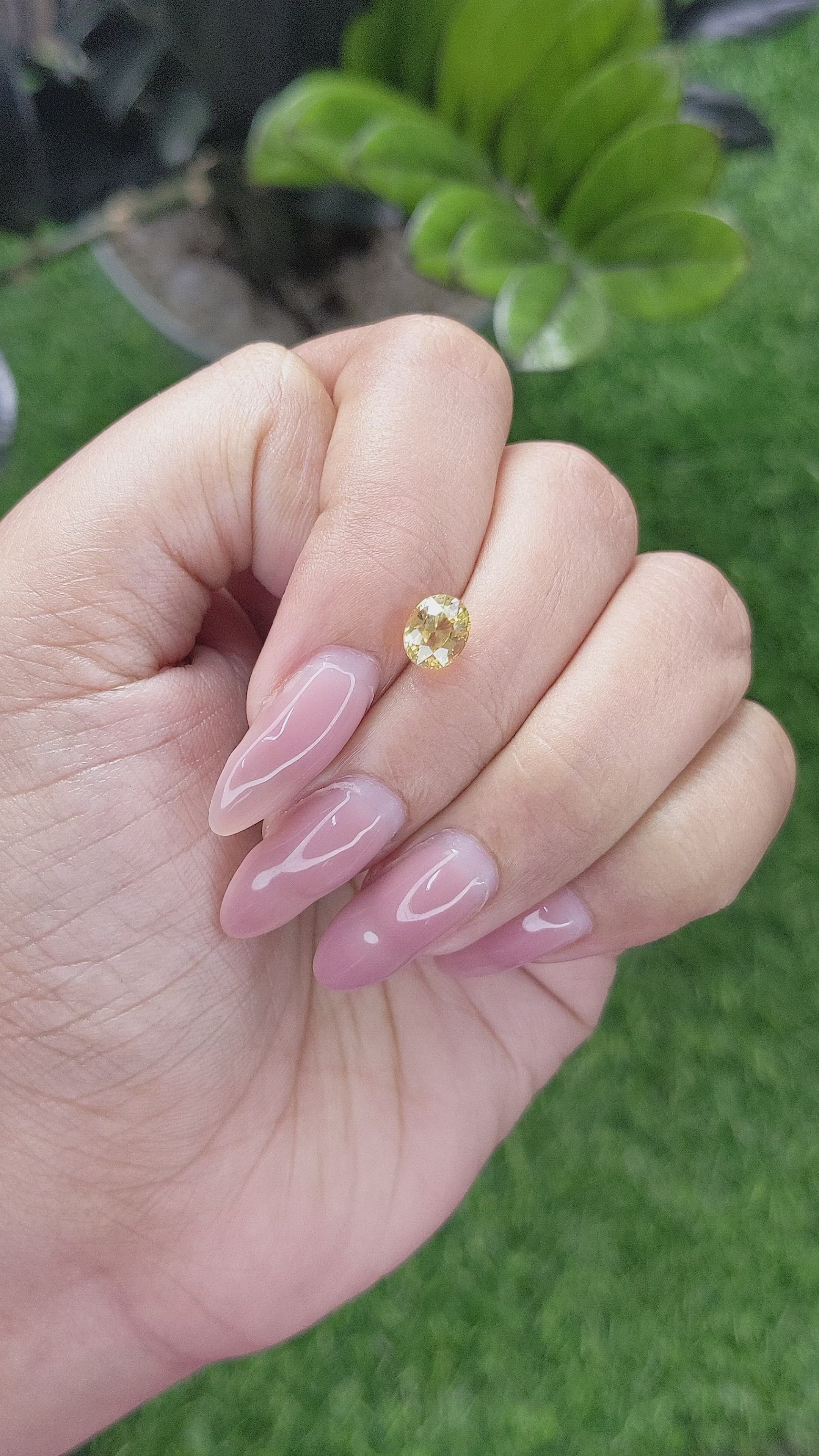 1.54 Ct. Yellow Sapphire from Ceylon (Sri Lanka) Size Video