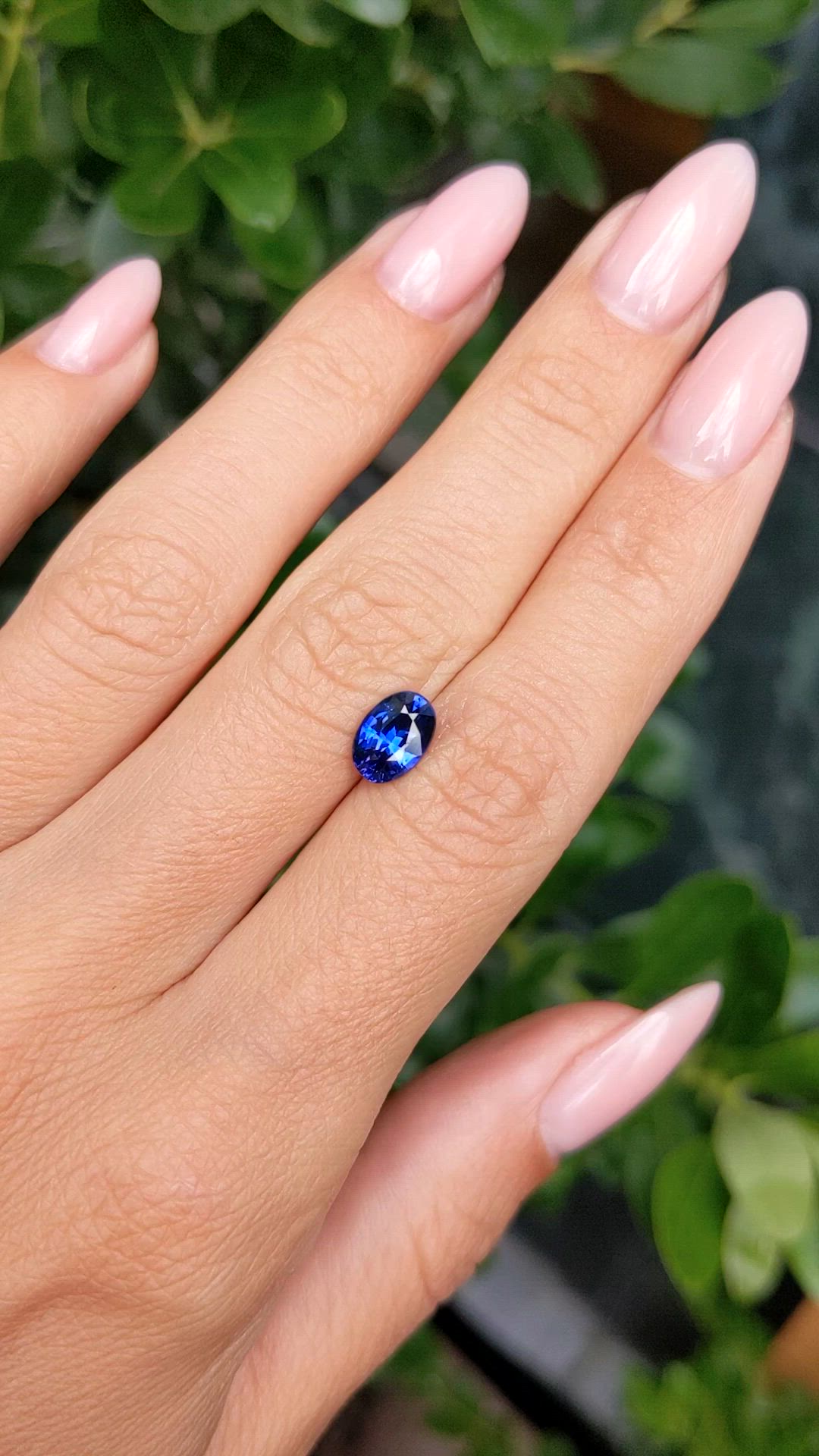 1.66 Ct. Blue Sapphire from Ceylon (Sri Lanka) Size Video