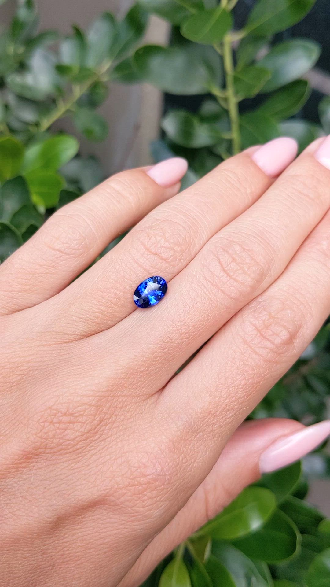 1.66 Ct. Blue Sapphire from Ceylon (Sri Lanka) Size Video
