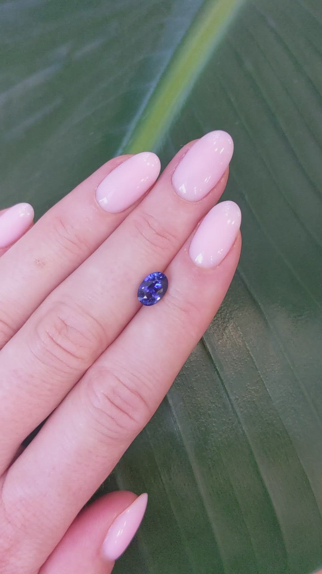 1.66 Ct. Blue Sapphire from Ceylon (Sri Lanka) Size Video