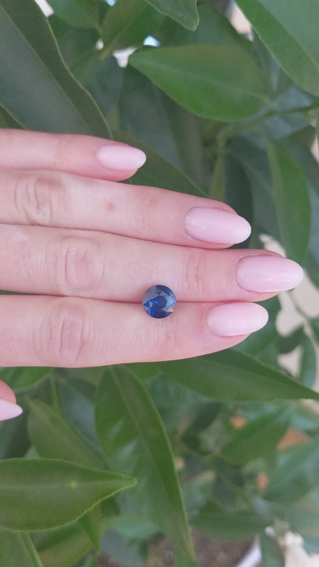 3.05 Ct. Blue Sapphire from Ceylon (Sri Lanka) Size Video