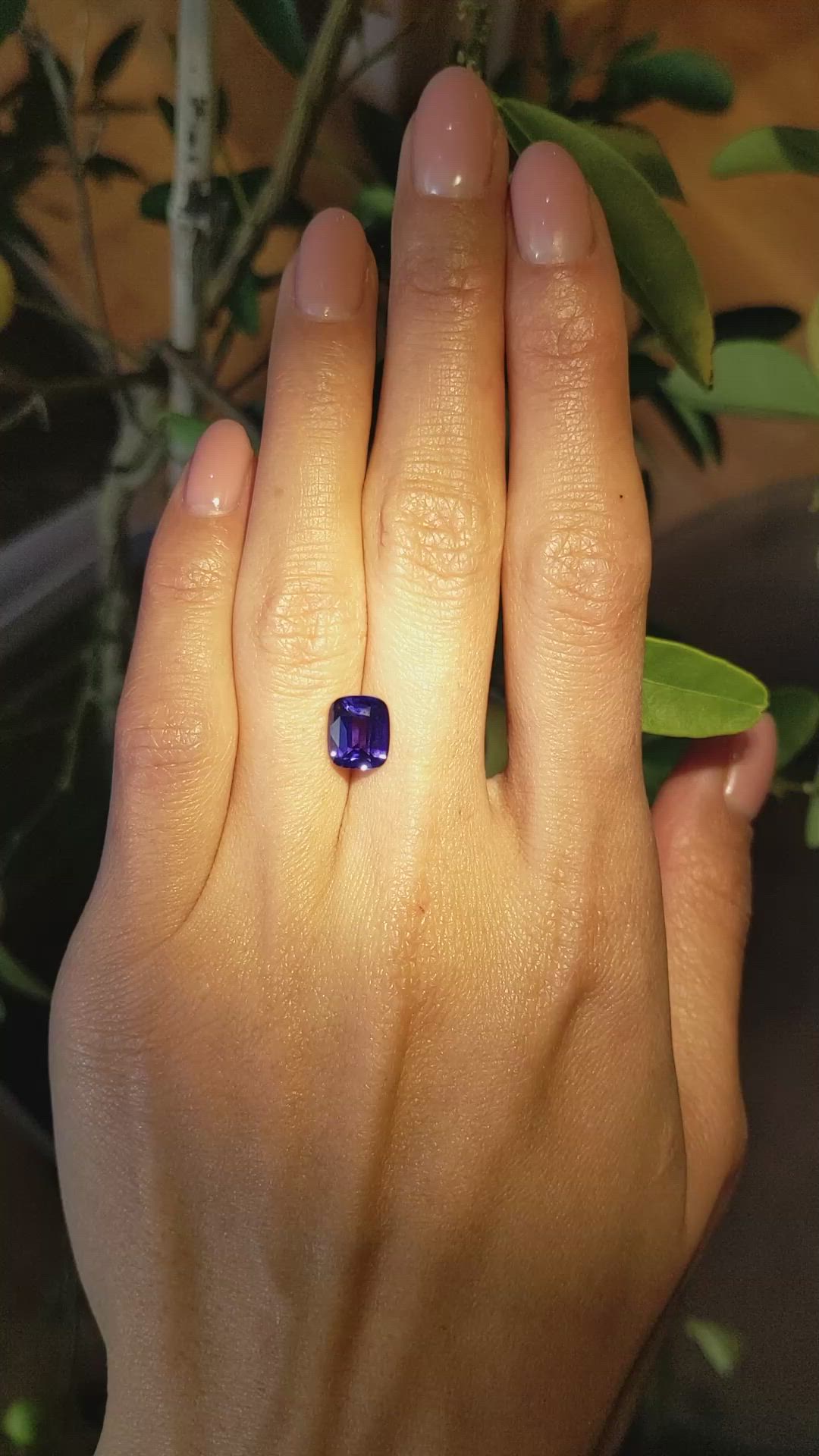3.00 Ct. Color Change Sapphire from Ceylon (Sri Lanka) Size Video