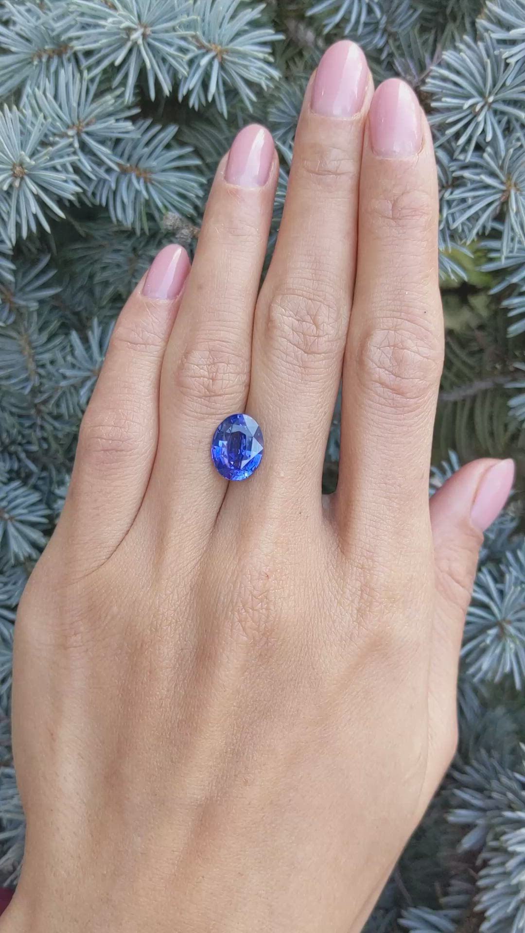 5.19 Ct. Blue Sapphire from Ceylon (Sri Lanka) Size Video