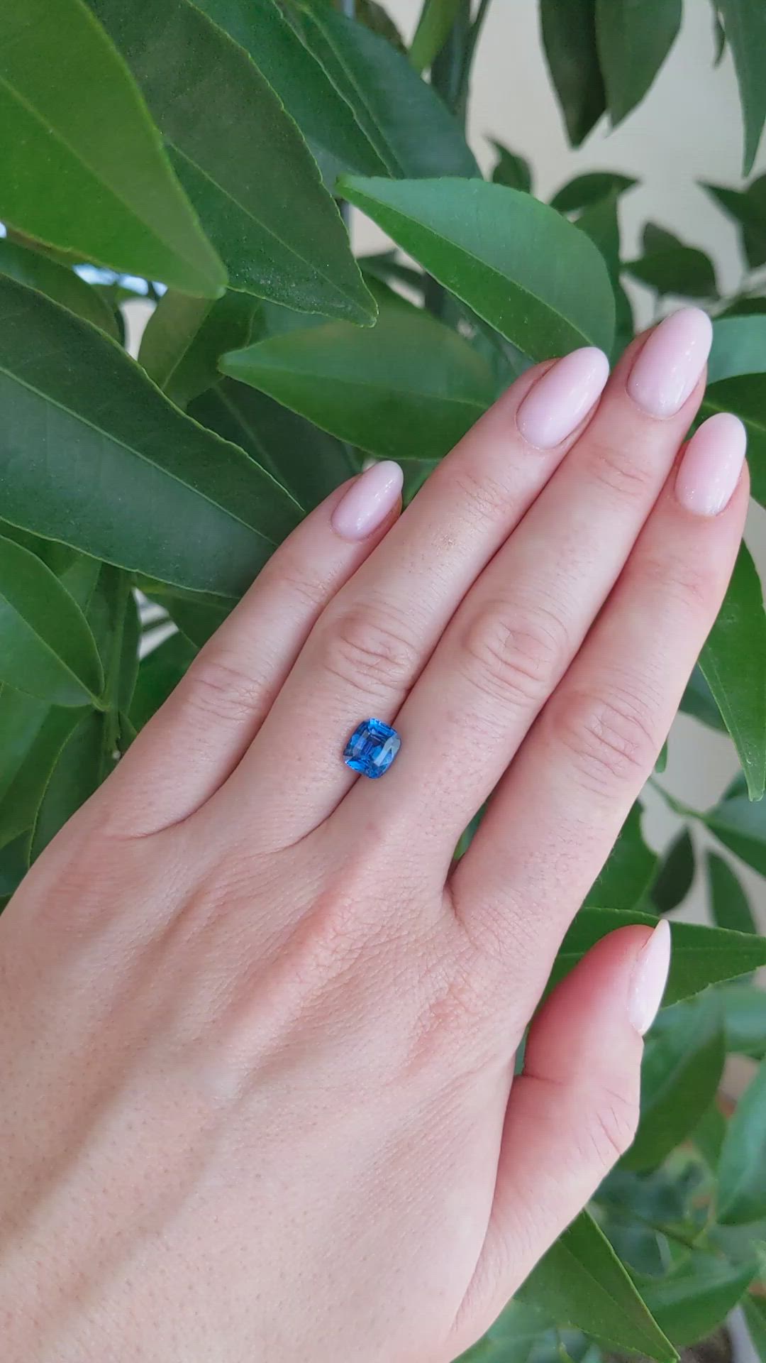 2.16 Ct. Blue Sapphire from Ceylon (Sri Lanka) Size Video