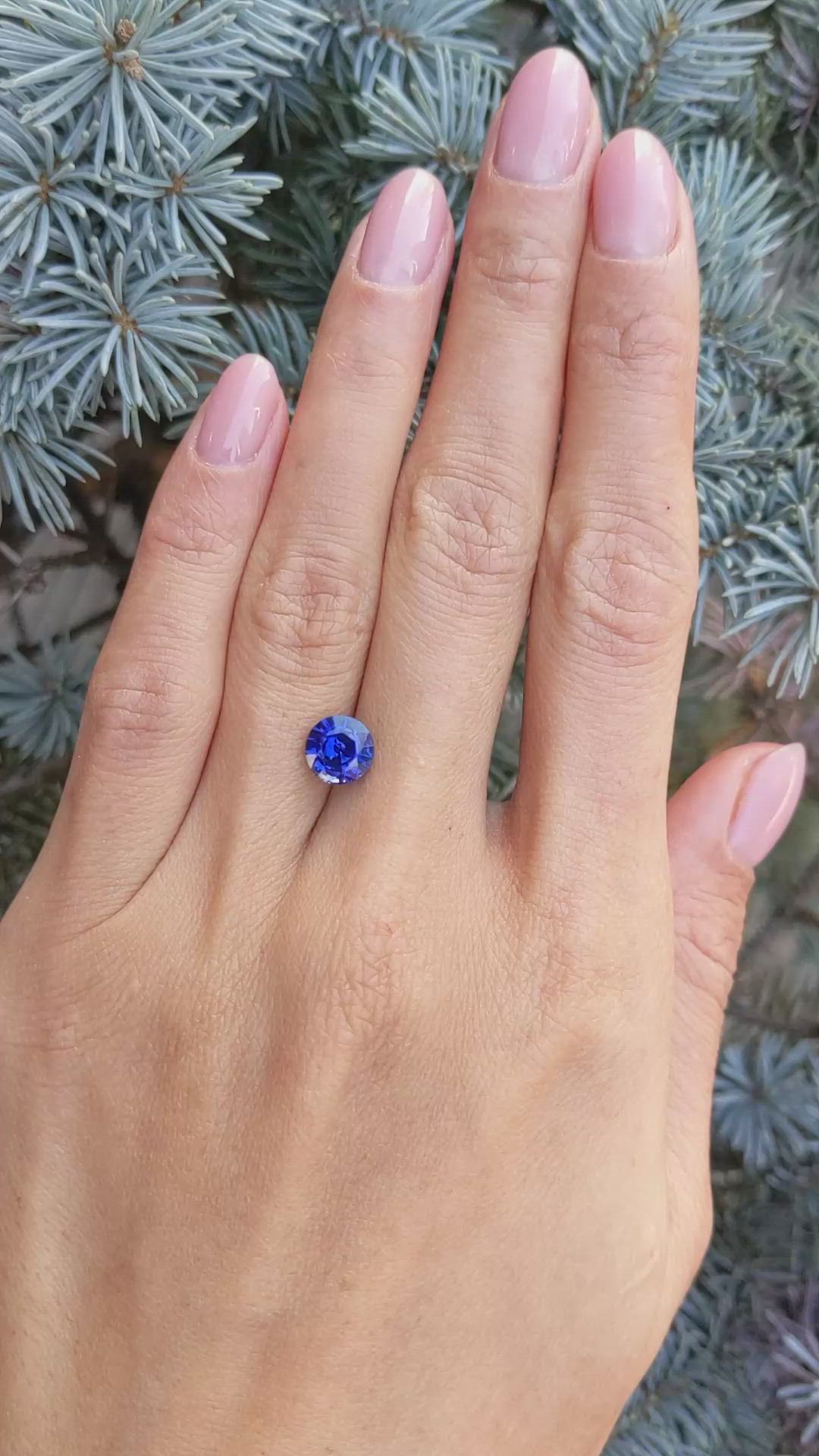 2.19 Ct. Blue Sapphire from Ceylon (Sri Lanka) Size Video