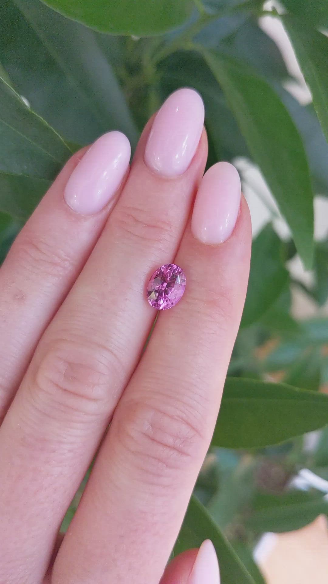 2.10 Ct. Pink Sapphire from Ceylon (Sri Lanka) Size Video