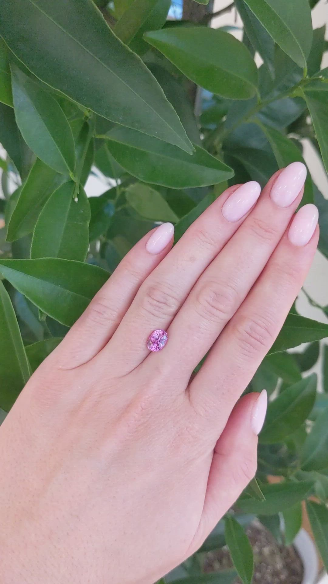 2.10 Ct. Pink Sapphire from Ceylon (Sri Lanka) Size Video