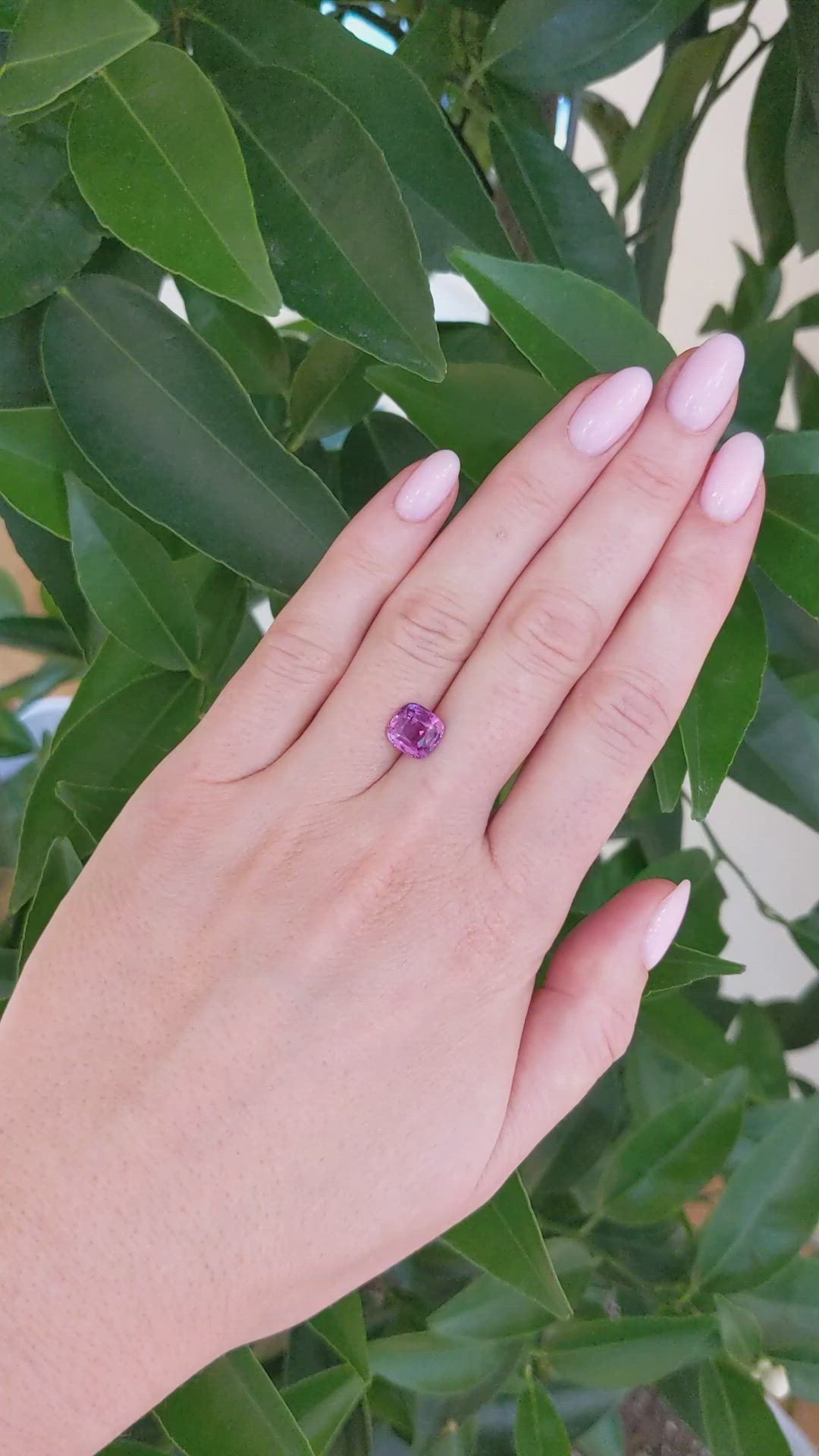 3.00 Ct. Purplish Pink Sapphire from Ceylon (Sri Lanka) Size Video