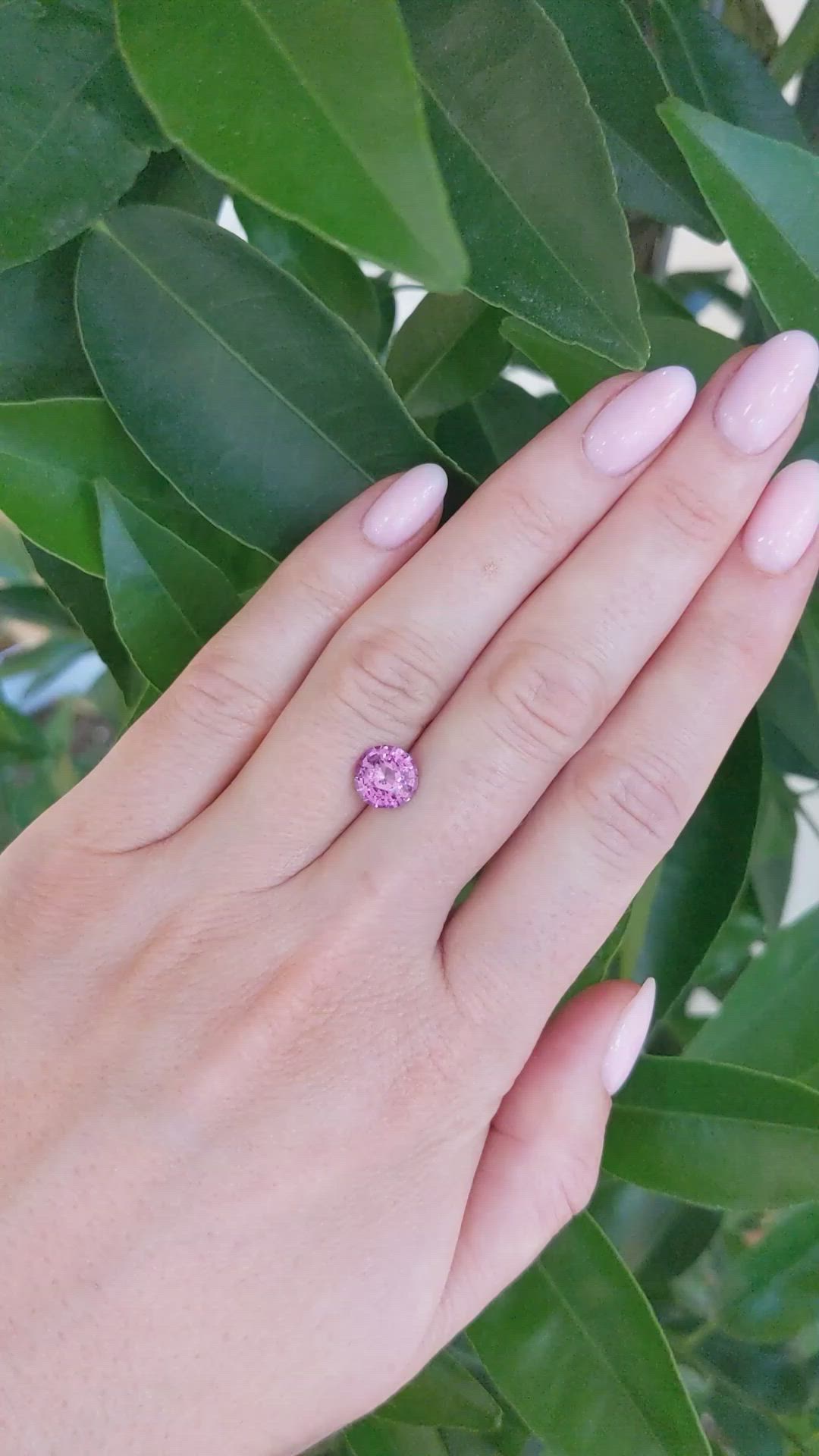 2.38 Ct. Purplish Pink Sapphire from Ceylon (Sri Lanka) Size Video
