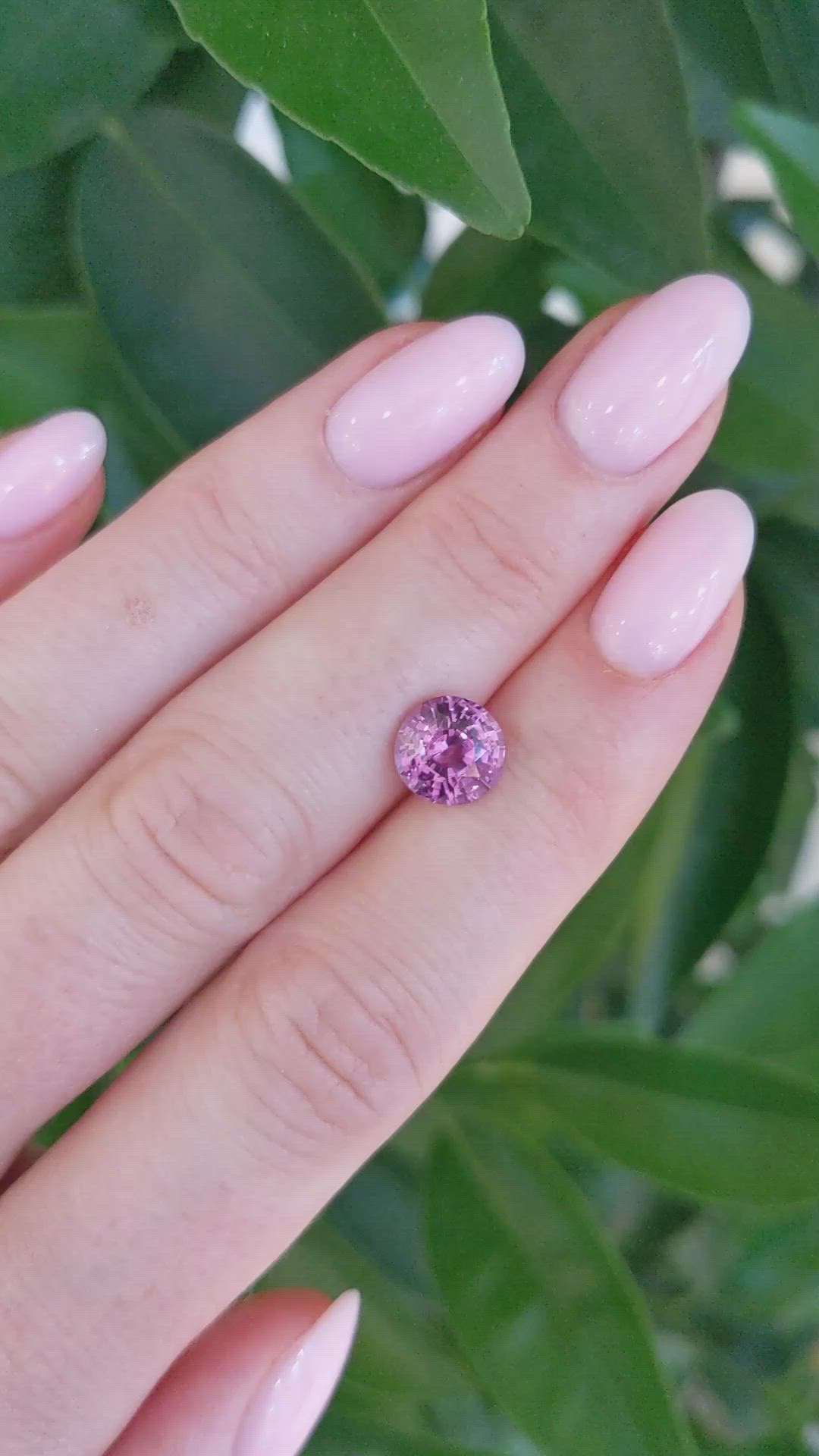 2.38 Ct. Purplish Pink Sapphire from Ceylon (Sri Lanka) Size Video