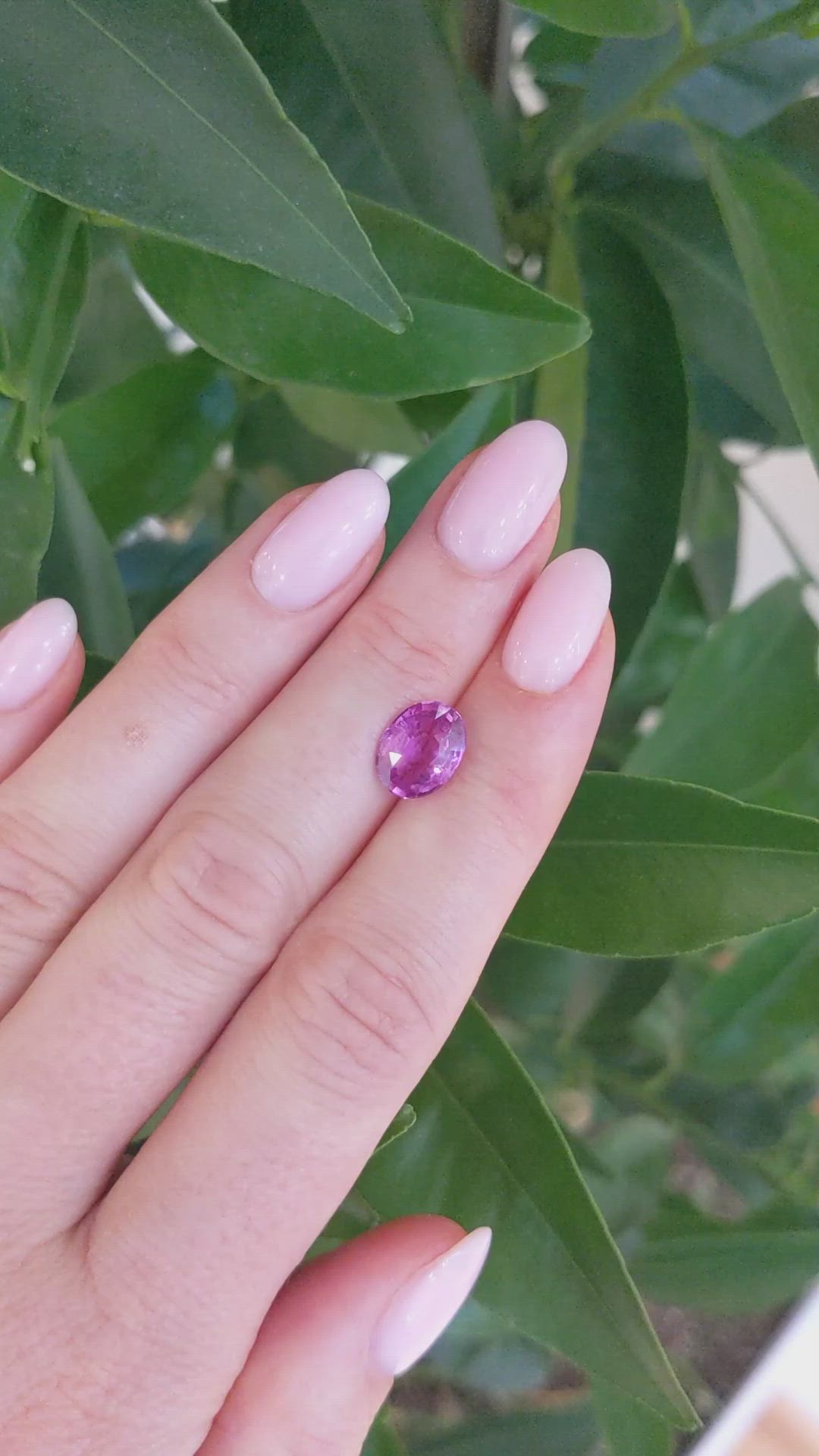 3.03 Ct. Pink Sapphire from Ceylon (Sri Lanka) Size Video