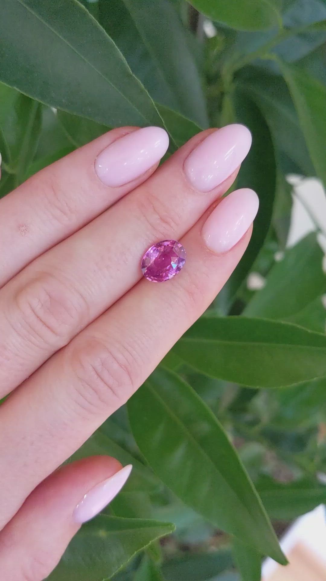 3.54 Ct. Pink Sapphire from Ceylon (Sri Lanka) Size Video