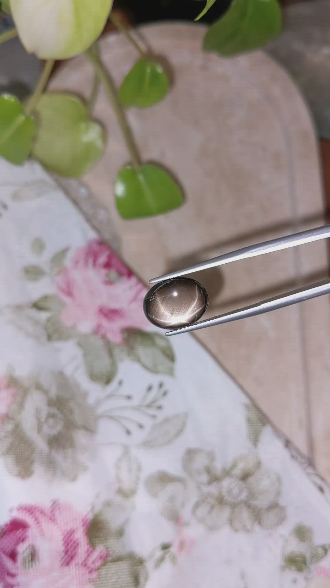 6.76 Ct. Black Star Sapphire from Thailand Size Video