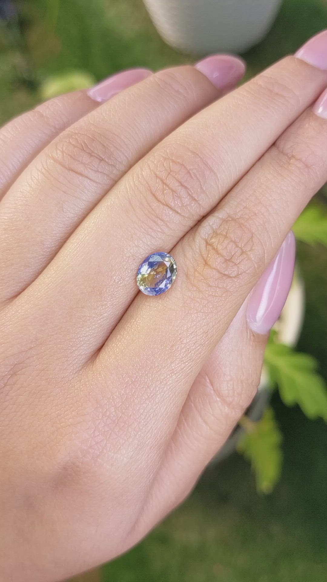 1.85 Ct. Bi Color Sapphire from Ceylon (Sri Lanka) Size Video