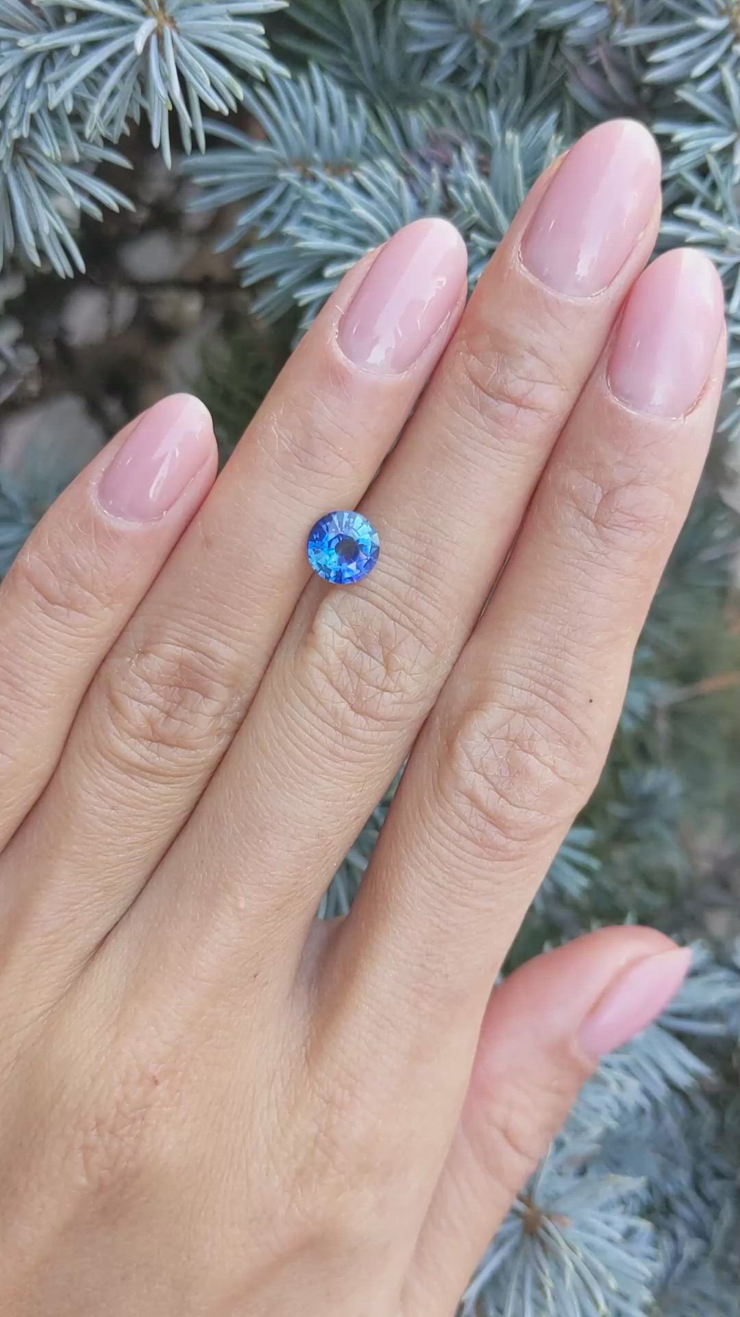 1.37 Ct. Blue Sapphire from Ceylon (Sri Lanka) Size Video