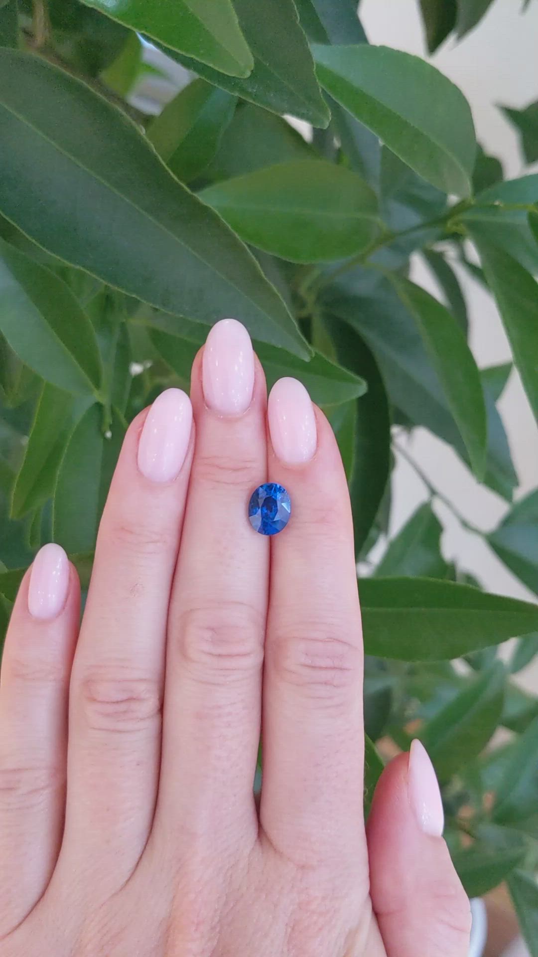 3.00 Ct. Blue Sapphire from Ceylon (Sri Lanka) Size Video