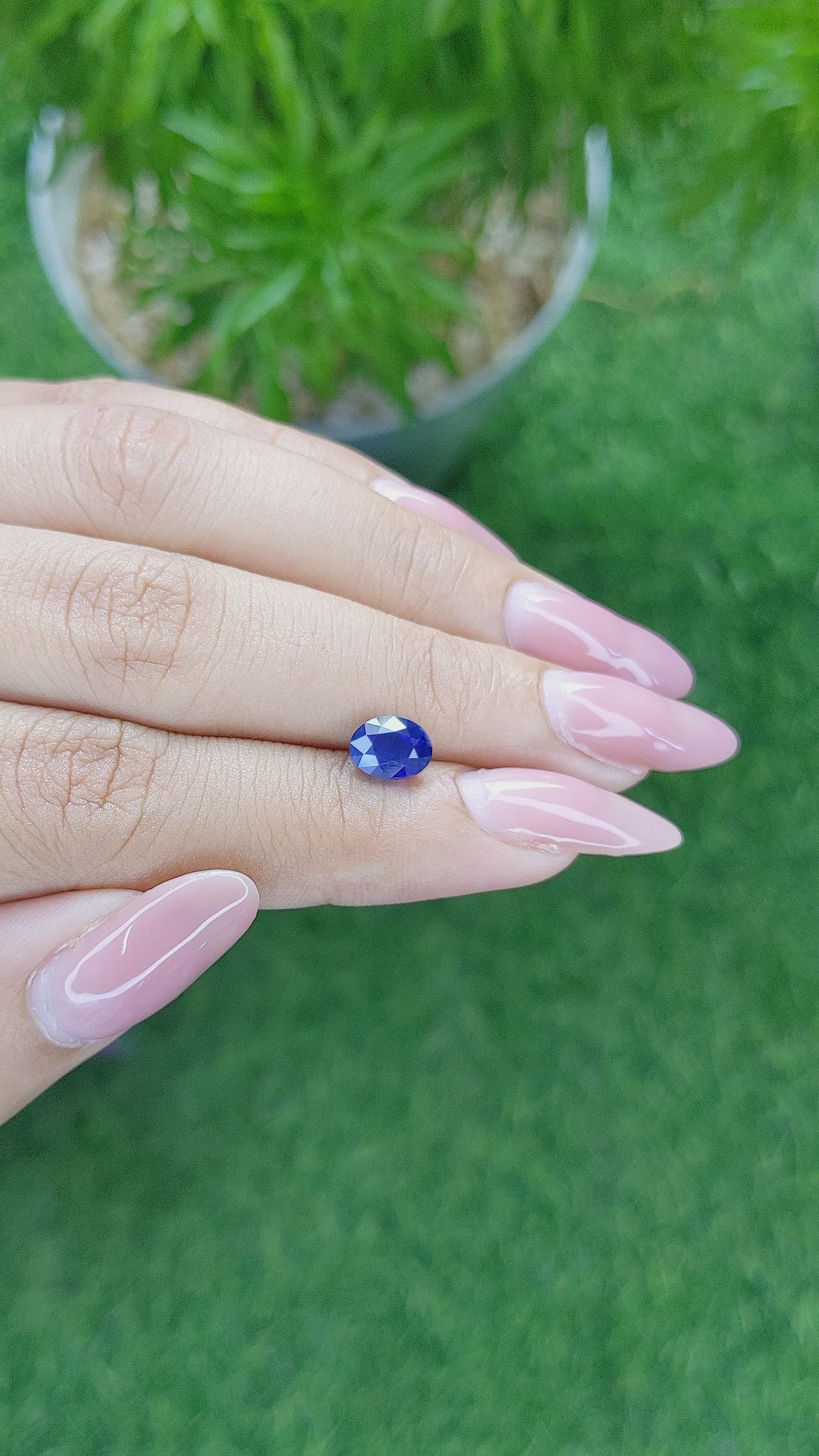 1.55 Ct. Blue Sapphire from Ceylon (Sri Lanka) Size Video