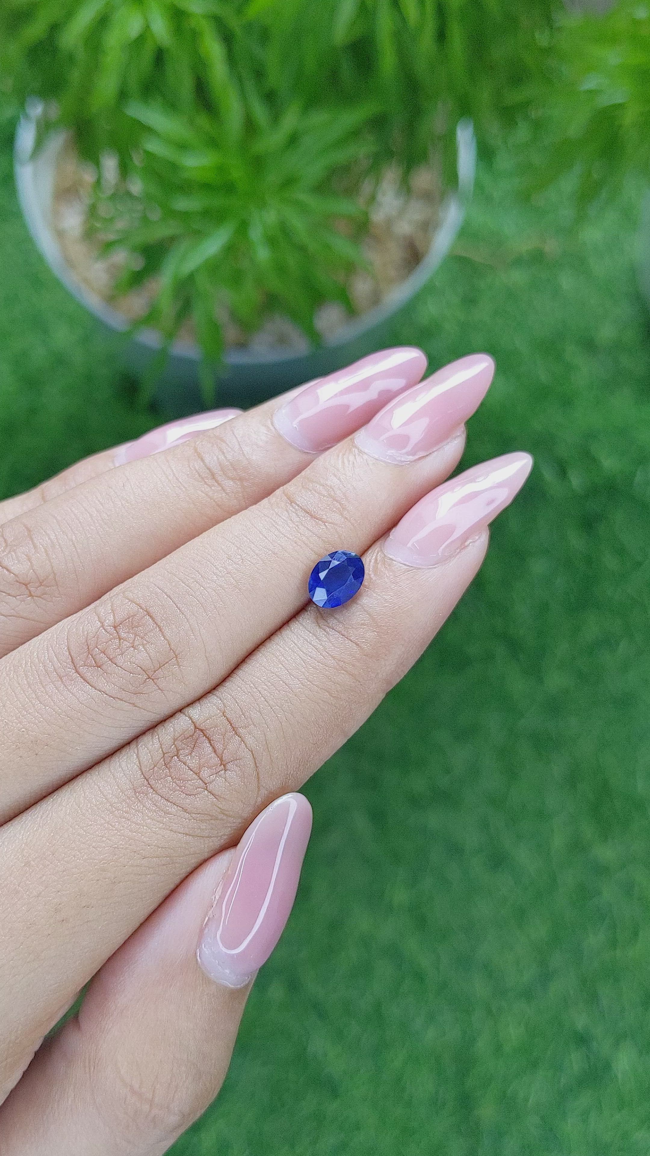 1.55 Ct. Blue Sapphire from Ceylon (Sri Lanka) Size Video