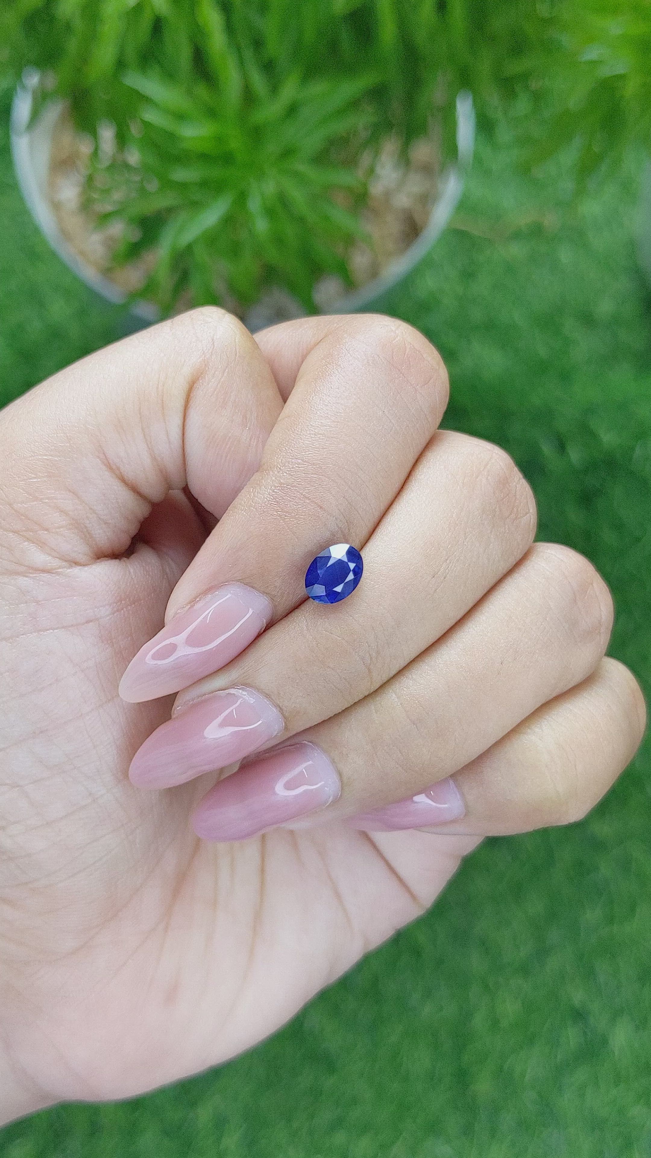 1.55 Ct. Blue Sapphire from Ceylon (Sri Lanka) Size Video