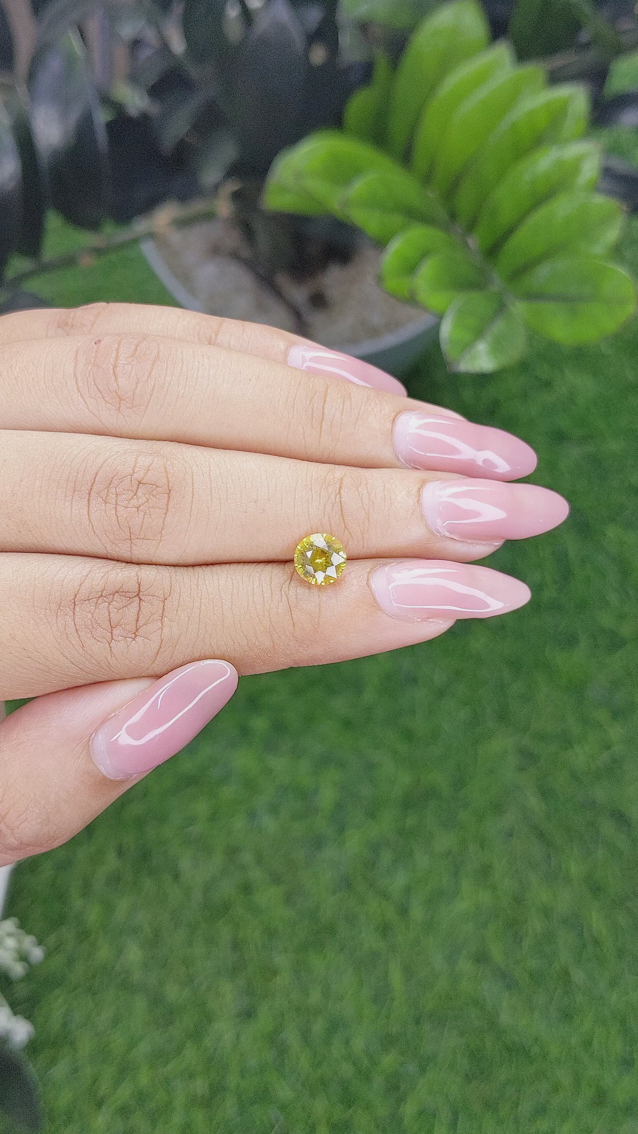 1.45 Ct. Yellow Sapphire from Ceylon (Sri Lanka) Size Video