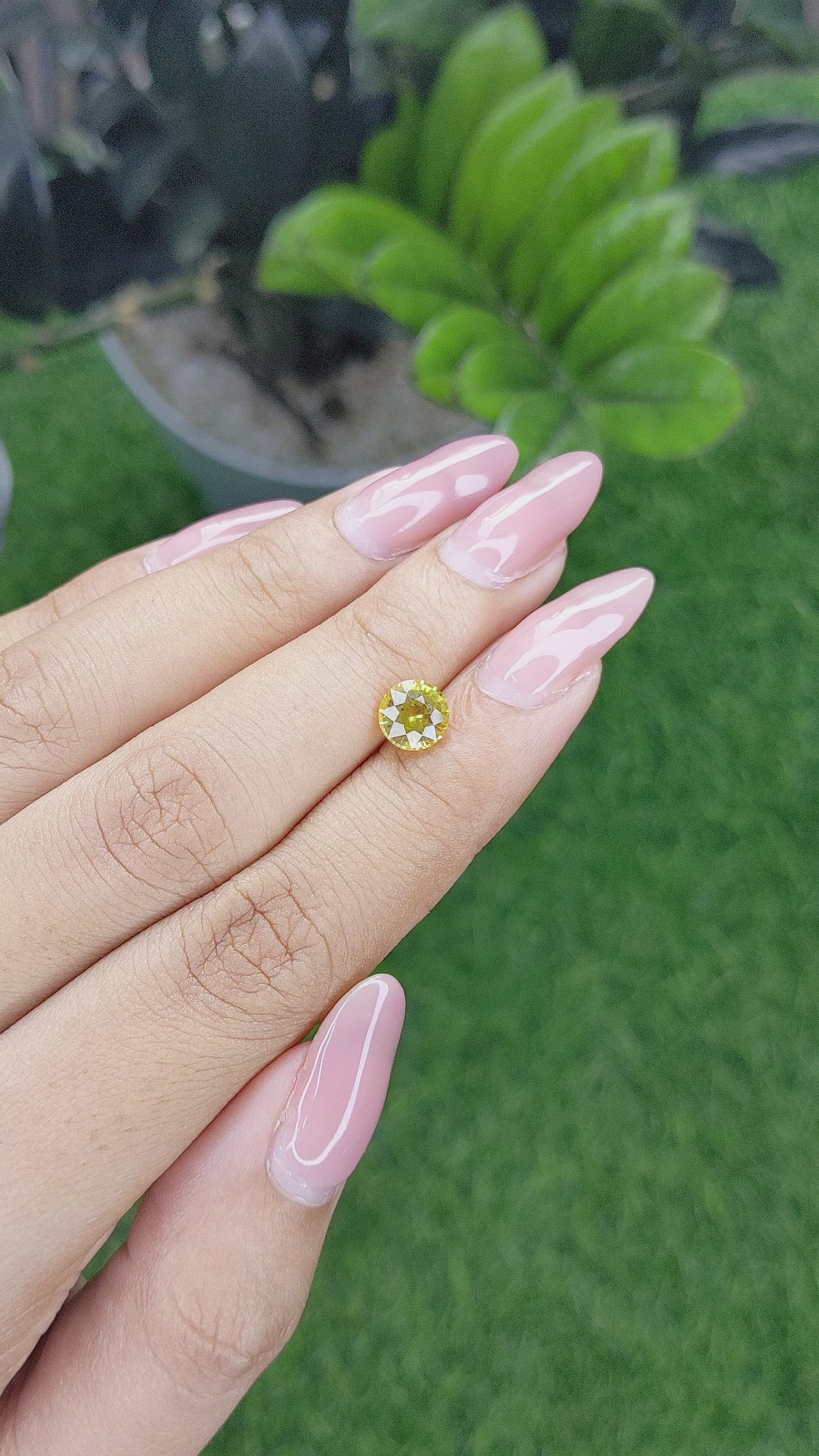 1.45 Ct. Yellow Sapphire from Ceylon (Sri Lanka) Size Video
