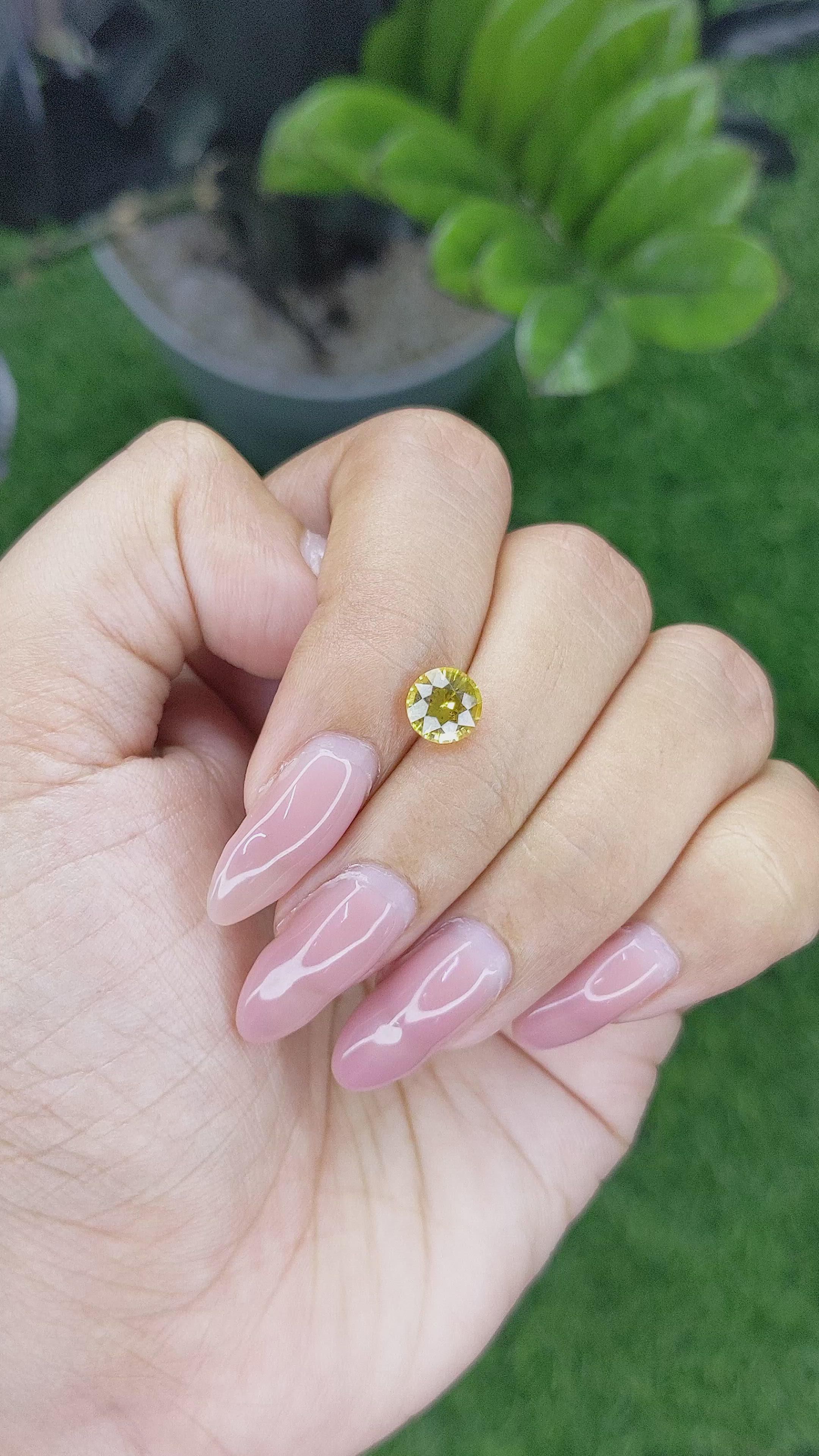 1.45 Ct. Yellow Sapphire from Ceylon (Sri Lanka) Size Video