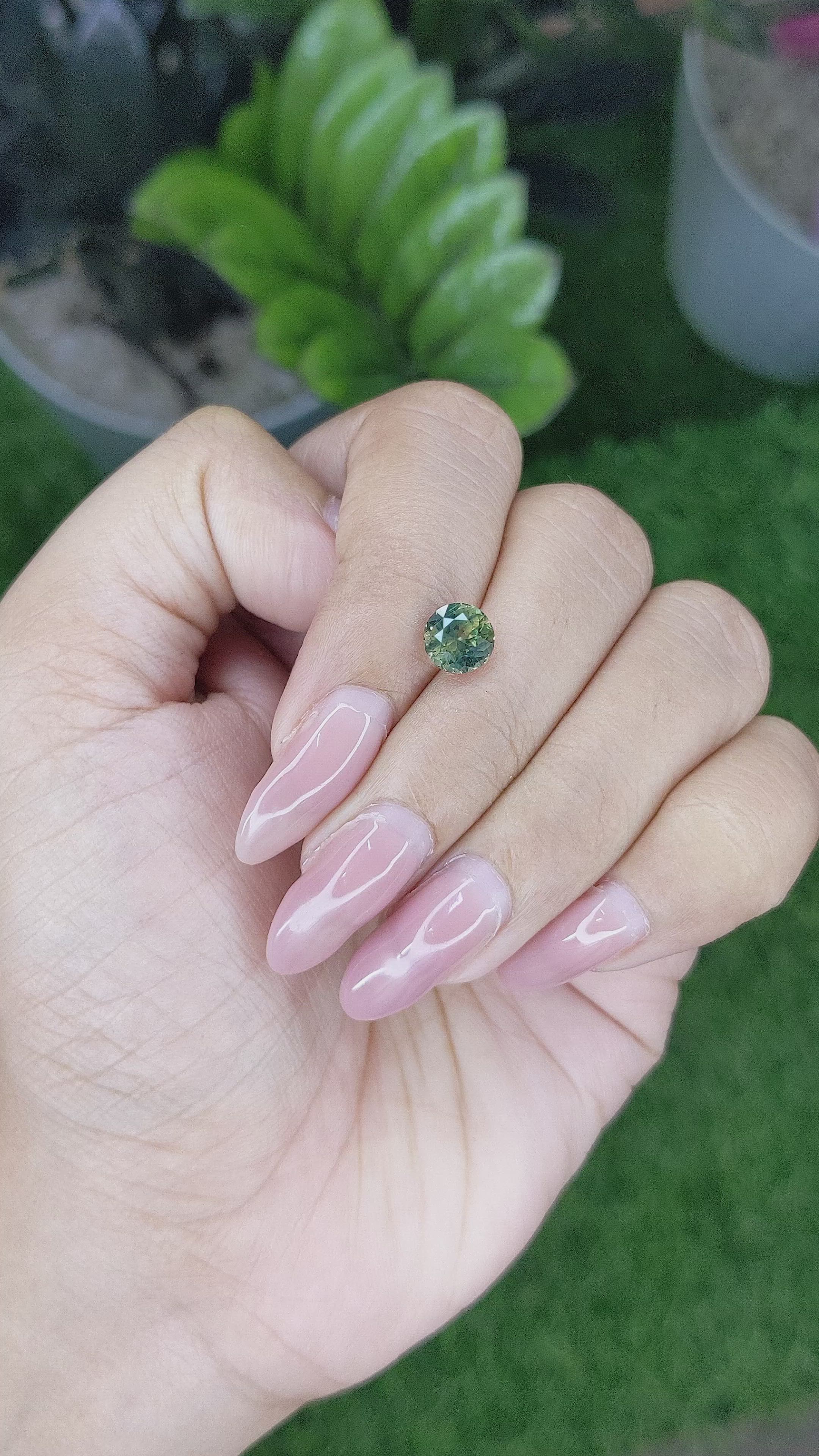 1.61 Ct. Bi Color Sapphire from Australia Size Video