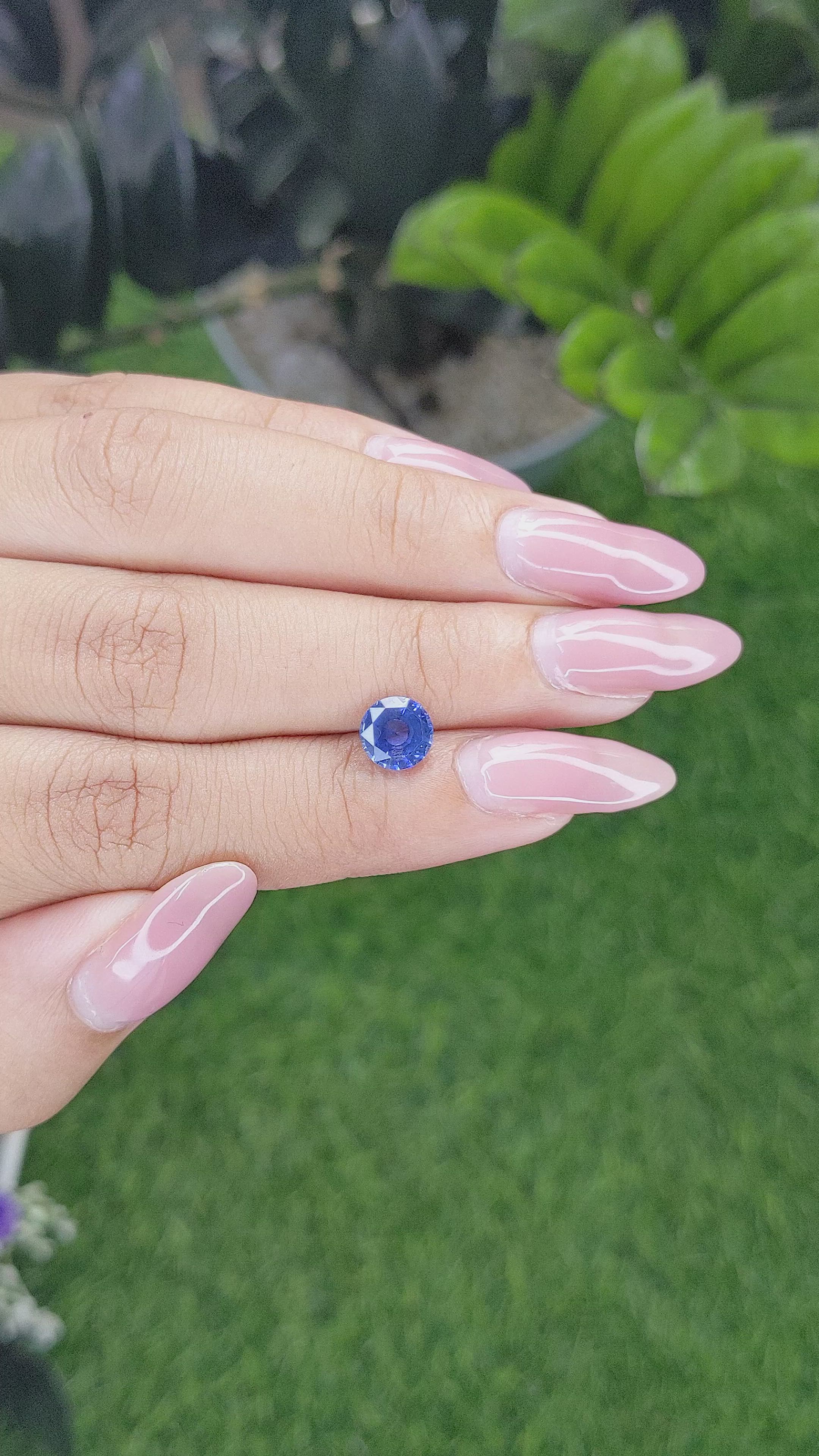 1.52 Ct. Blue Sapphire from Ceylon (Sri Lanka) Size Video