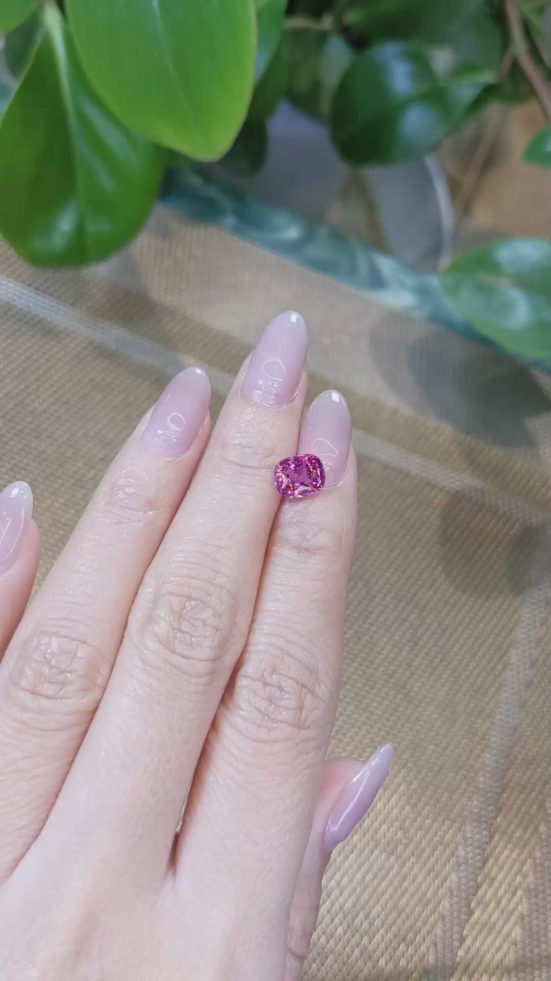 2.62 Ct. Pink Sapphire from Ceylon (Sri Lanka) Size Video