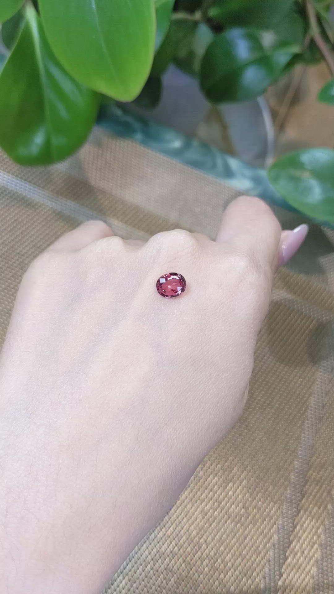 1.57 Ct. Padparadscha Sapphire from Ceylon (Sri Lanka) Size Video