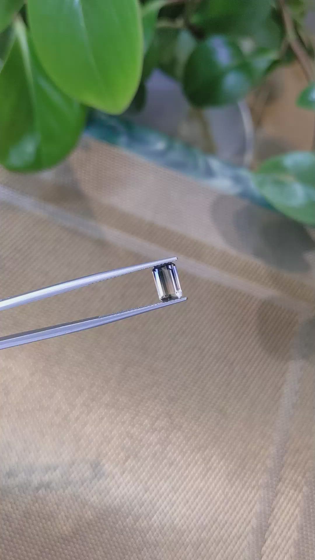 1.68 Ct. Bi Color Sapphire from Ceylon (Sri Lanka) Size Video