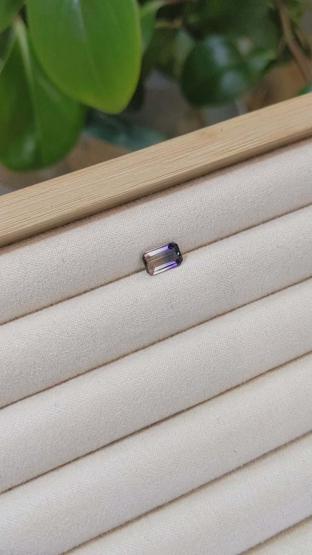 1.68 Ct. Bi Color Sapphire from Ceylon (Sri Lanka) Size Video