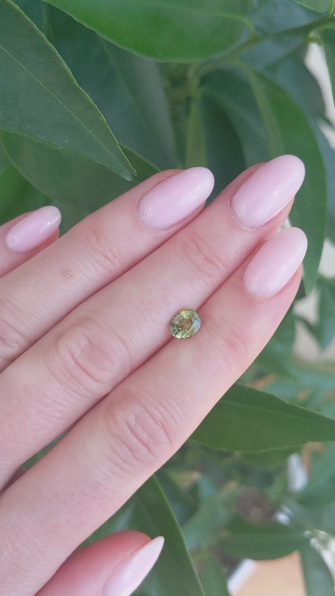 1.03 Ct. Yellowish Green Sapphire from Ceylon (Sri Lanka) Size Video