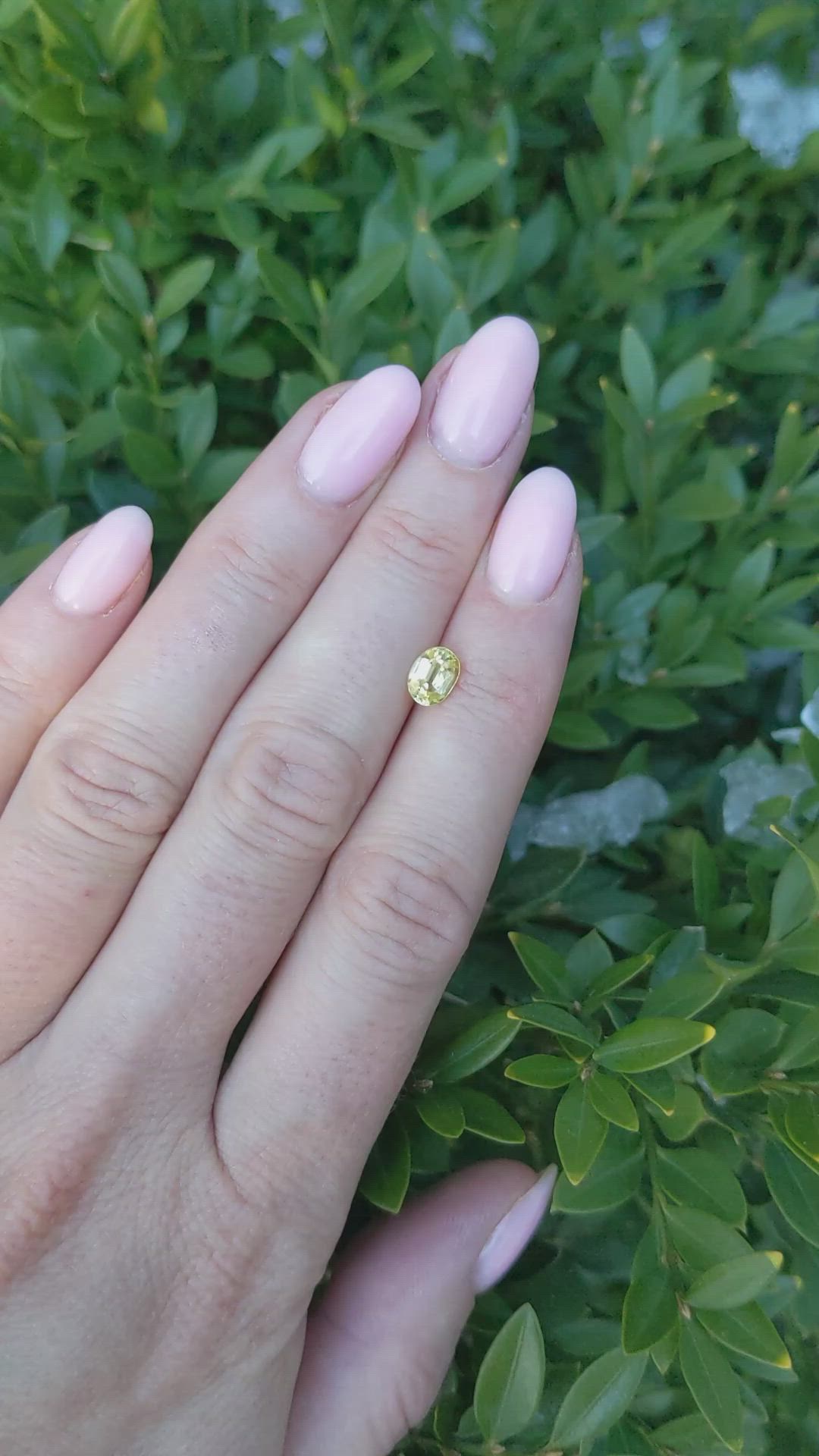 0.82 Ct. Greenish Yellow Sapphire from Ceylon (Sri Lanka) Size Video