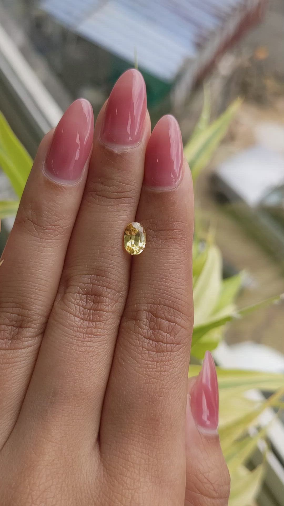 1.16 Ct. Yellow Sapphire from Ceylon (Sri Lanka) Size Video