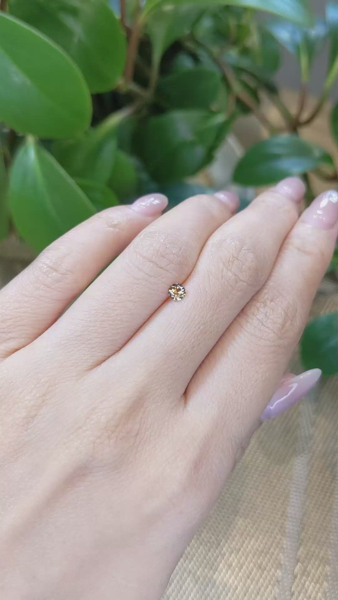 0.26 Ct. Yellowish Orange Sapphire from Montana Size Video