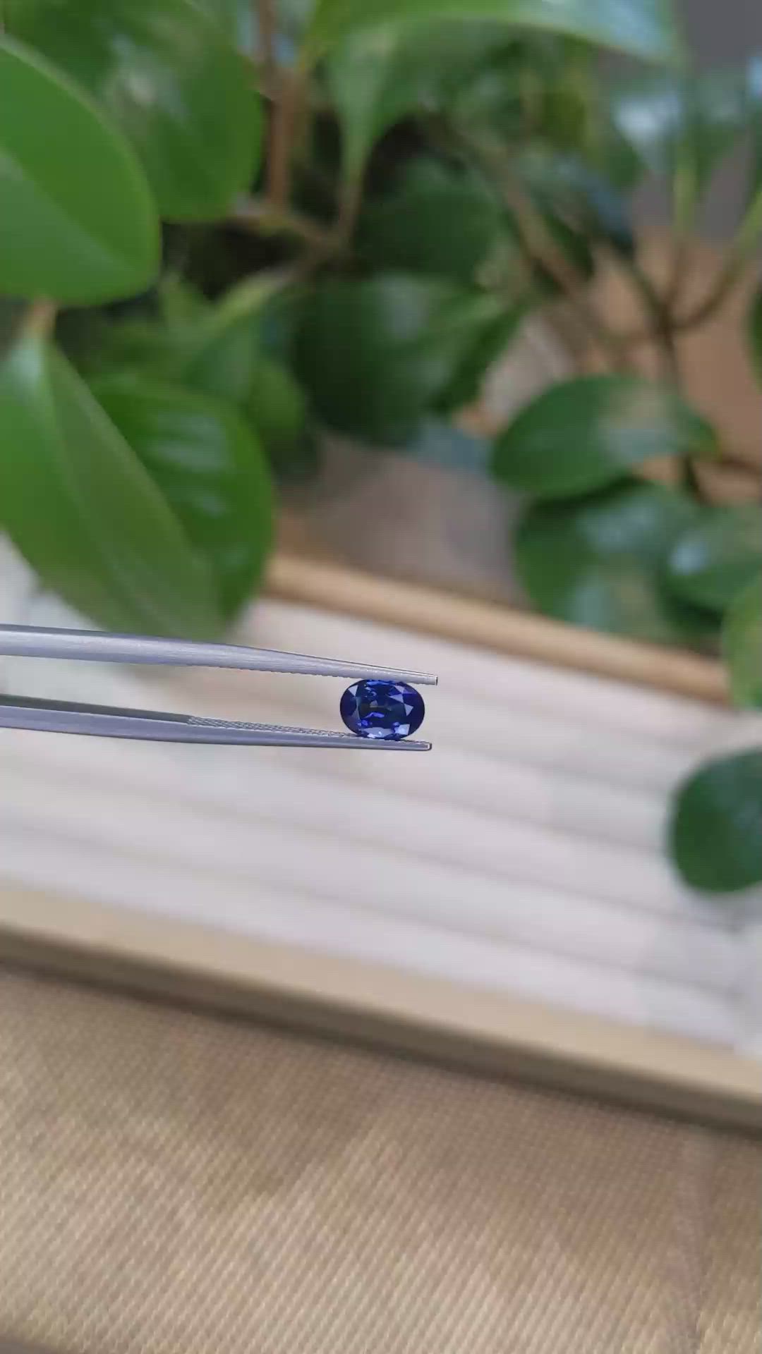 1.38 Ct. Blue Sapphire from Ceylon (Sri Lanka) Size Video
